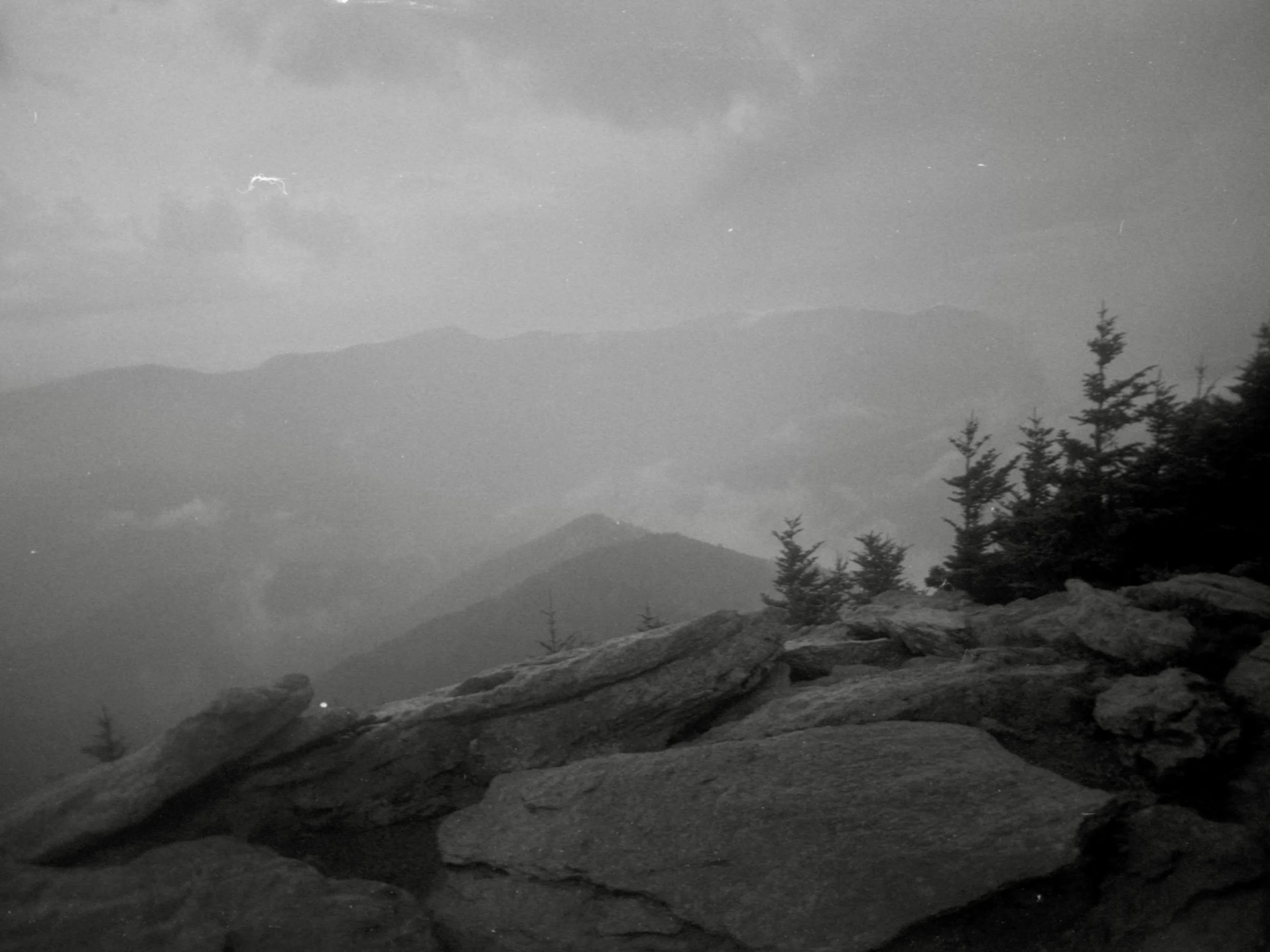 img20220528_20130277.jpg