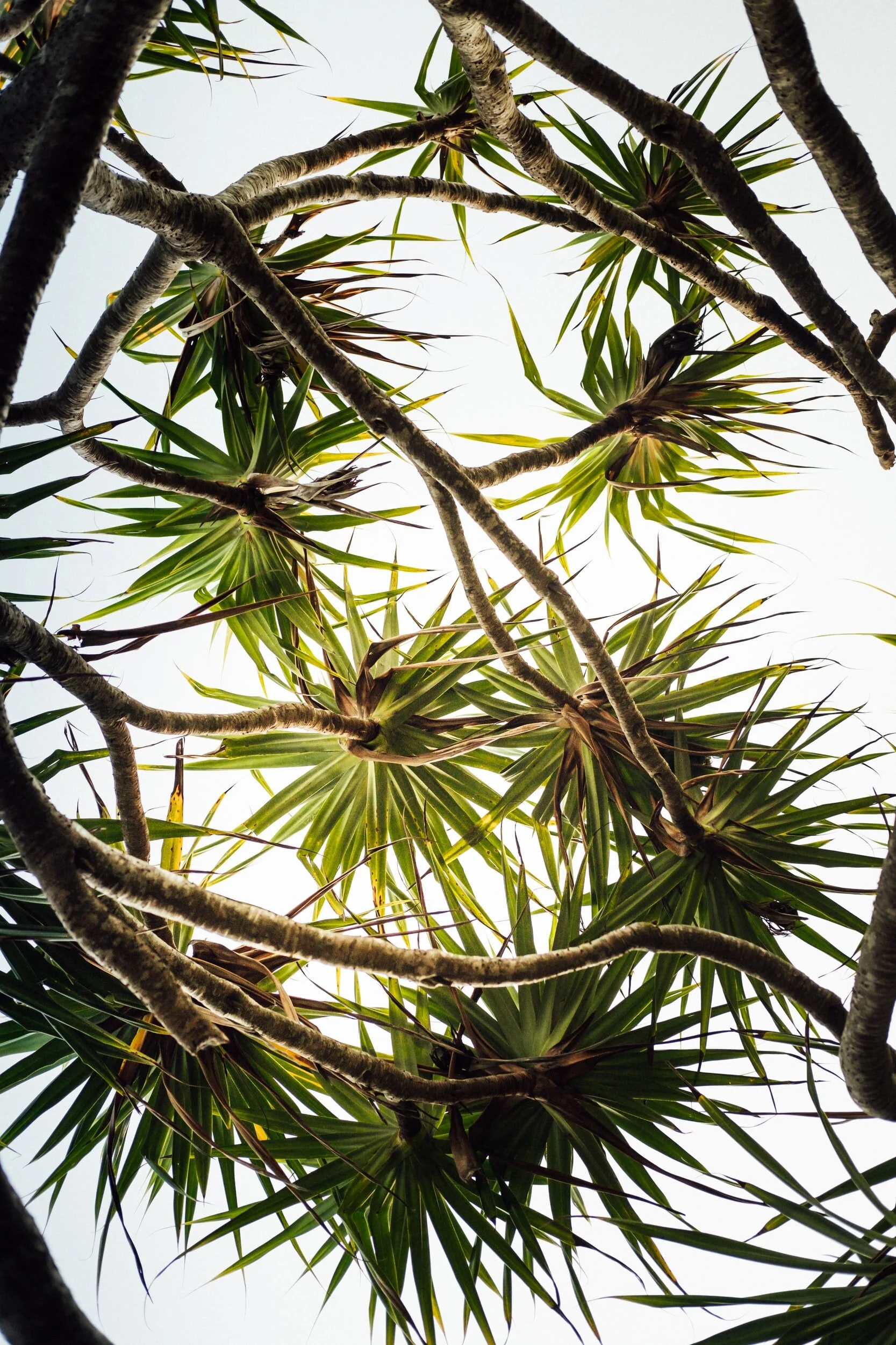 unsplash-image-pAhRSaUlM-0.jpg