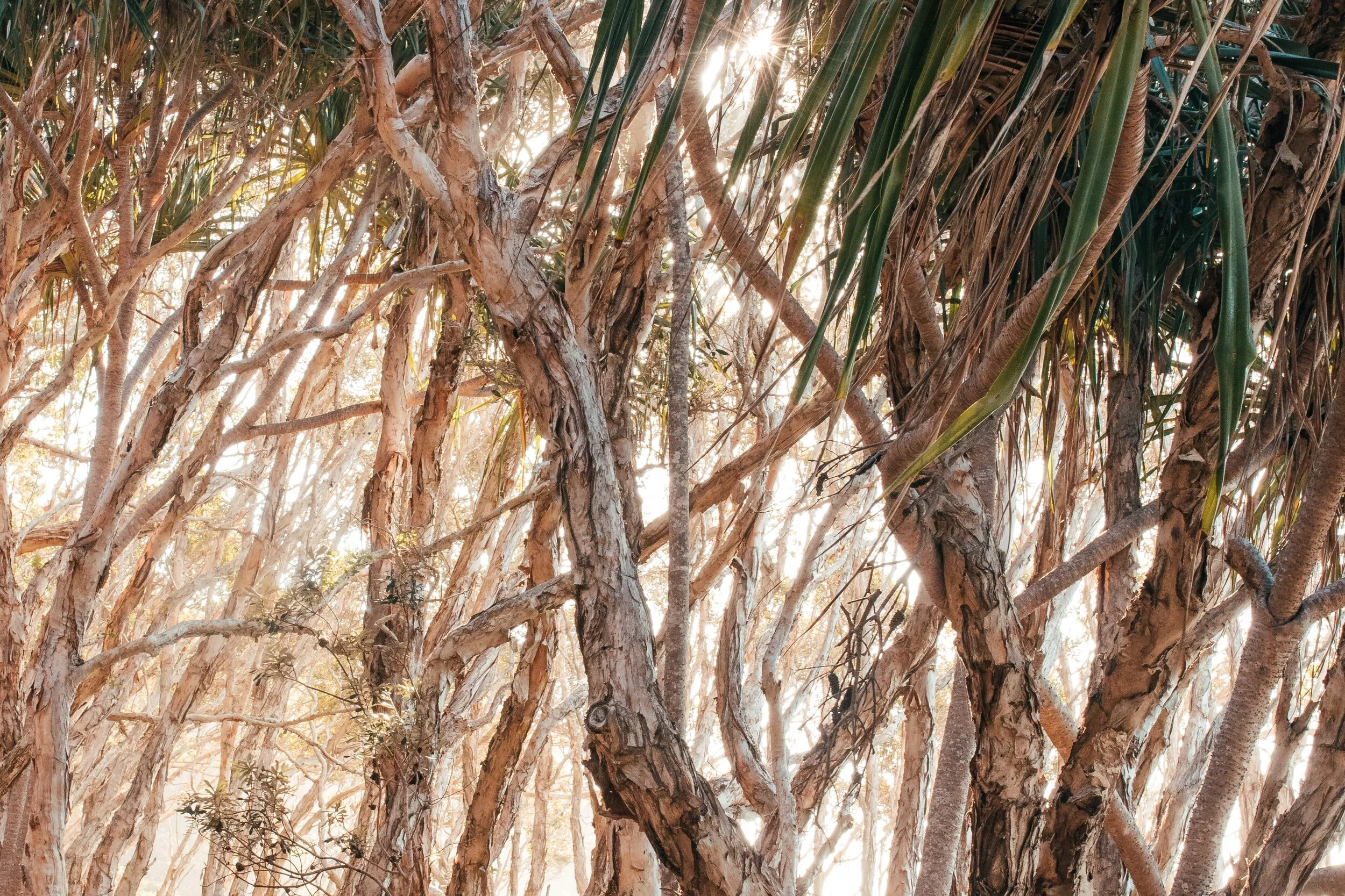 unsplash-image-ThKwR4G8mVQ.jpg