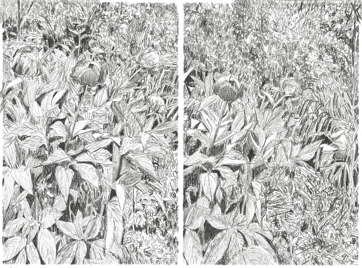 Giverny 5