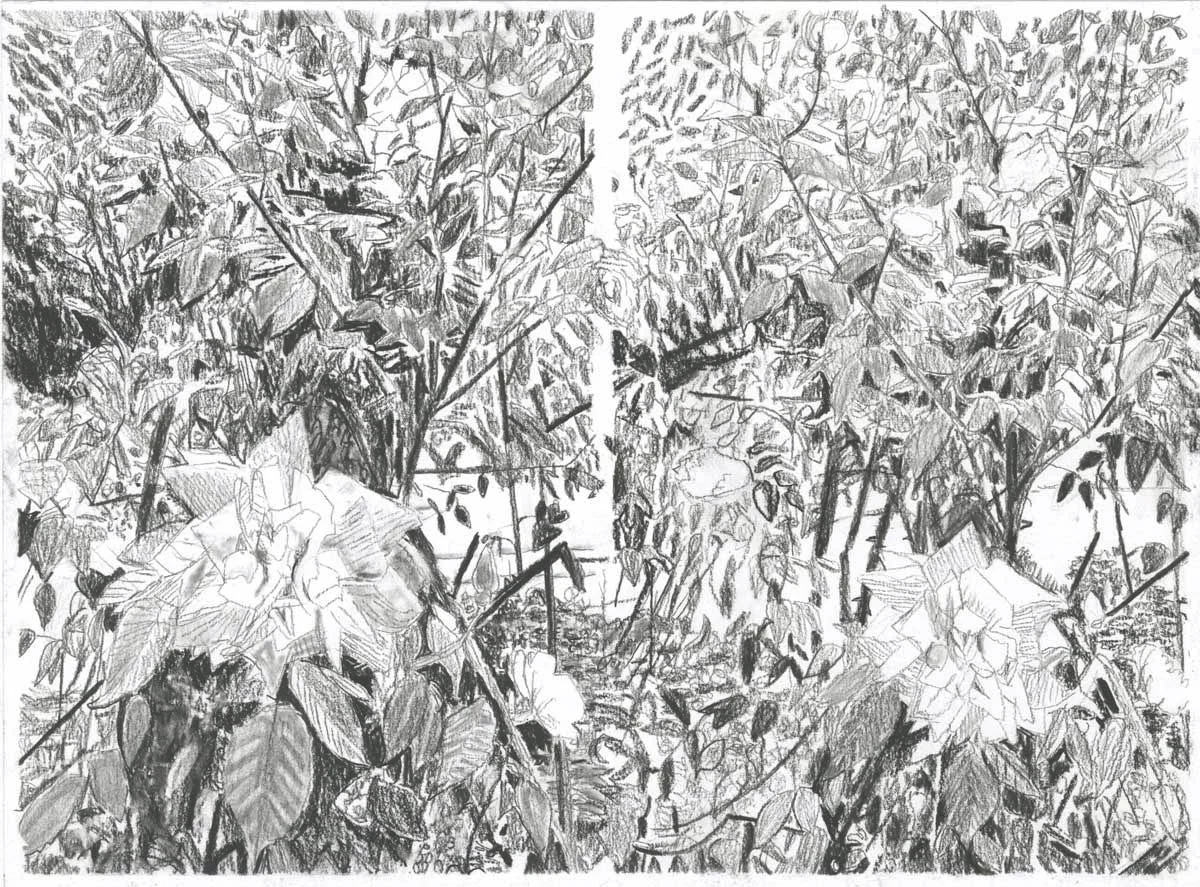 Giverny 9