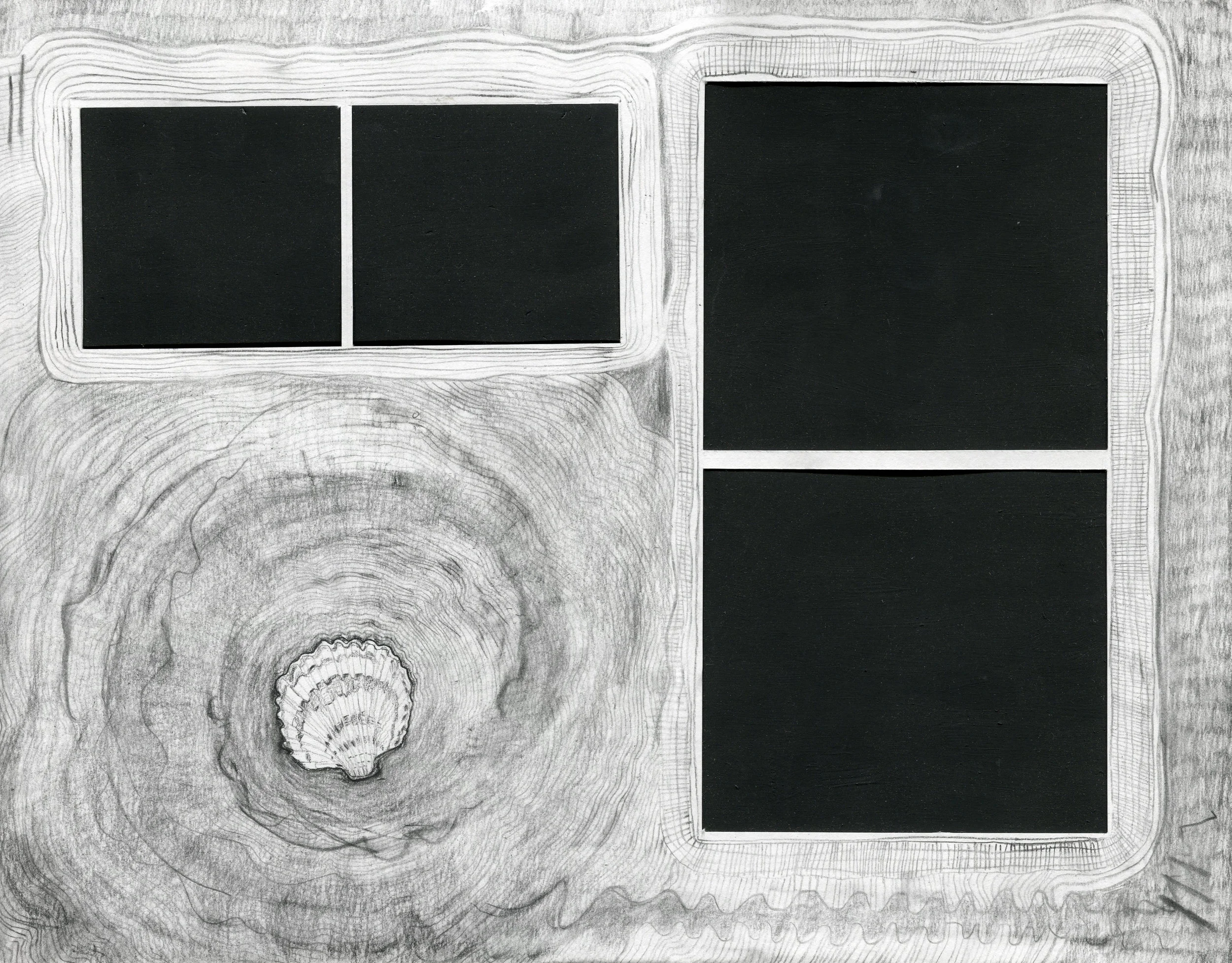 Shell and two windows.jpg