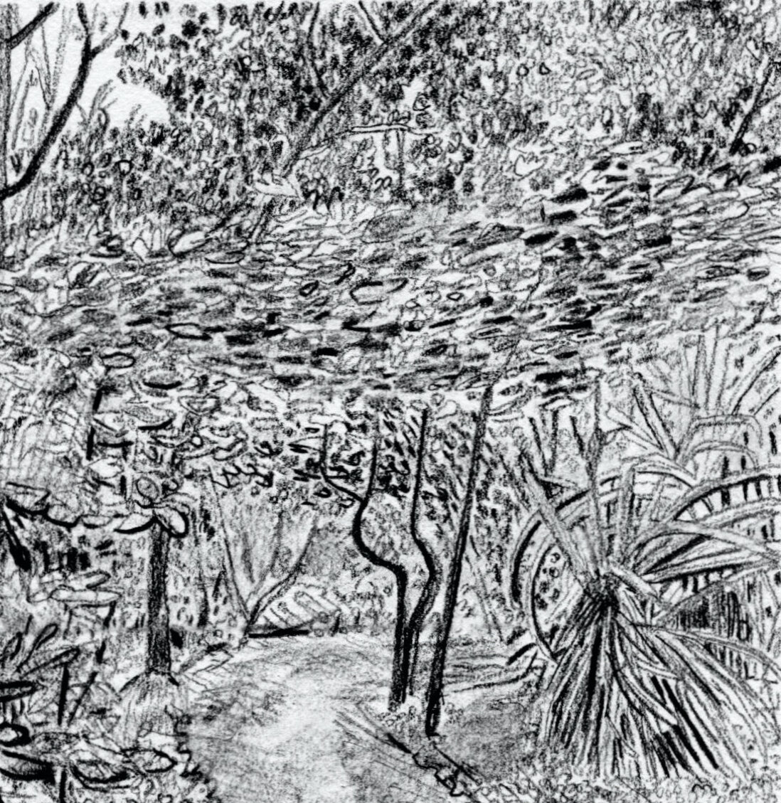 Waipo Valley detail 1.jpeg
