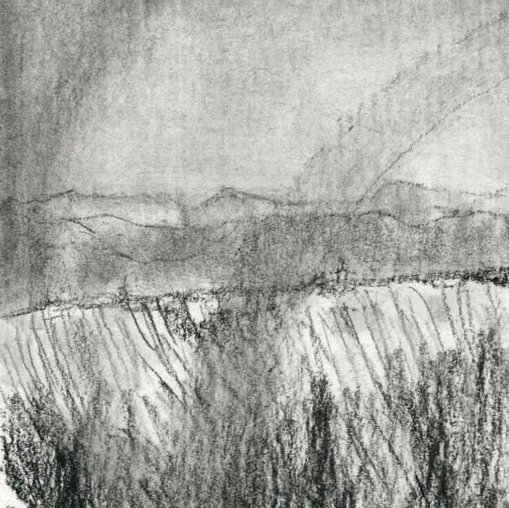 Evening detail3.jpeg