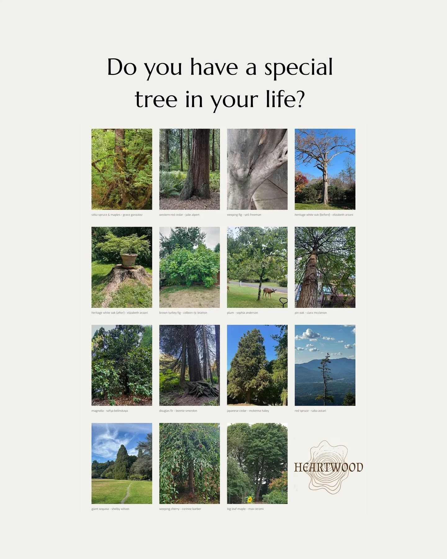 In “Heartwood,” artists across the country were invited to listen to a guided meditation created by @colleenrjcbratton while they leaned against of a tree they chose. They then recorded their responses to the experience. For me, it was an