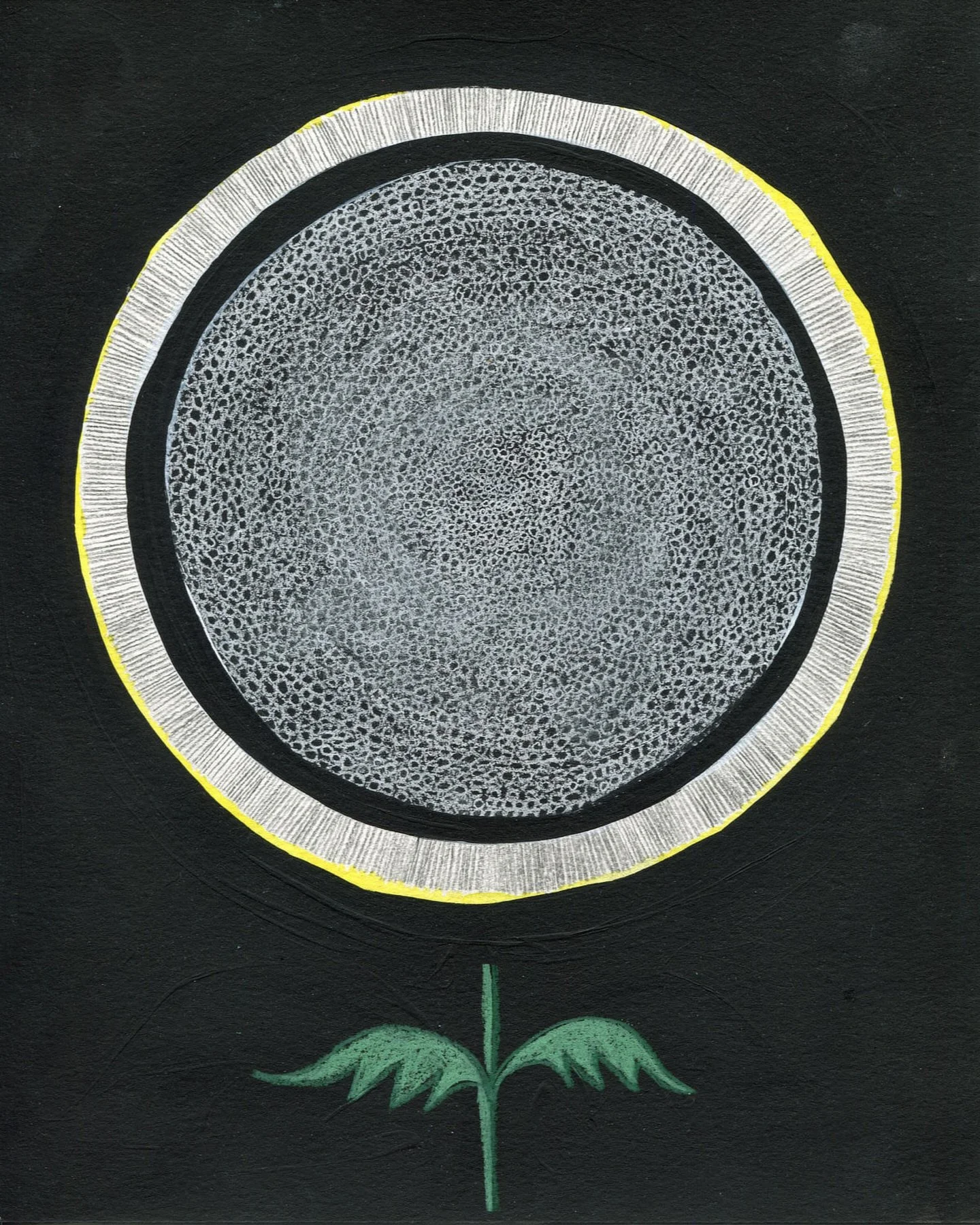 At night, our eyes can&rsquo;t sense color in the same way and the world&rsquo;s vibrance fades, transform into muted grays.

So what happens to a sunflower when its bright yellow disappears?

If it doesn&rsquo;t shine in the dark, is it still a sunf