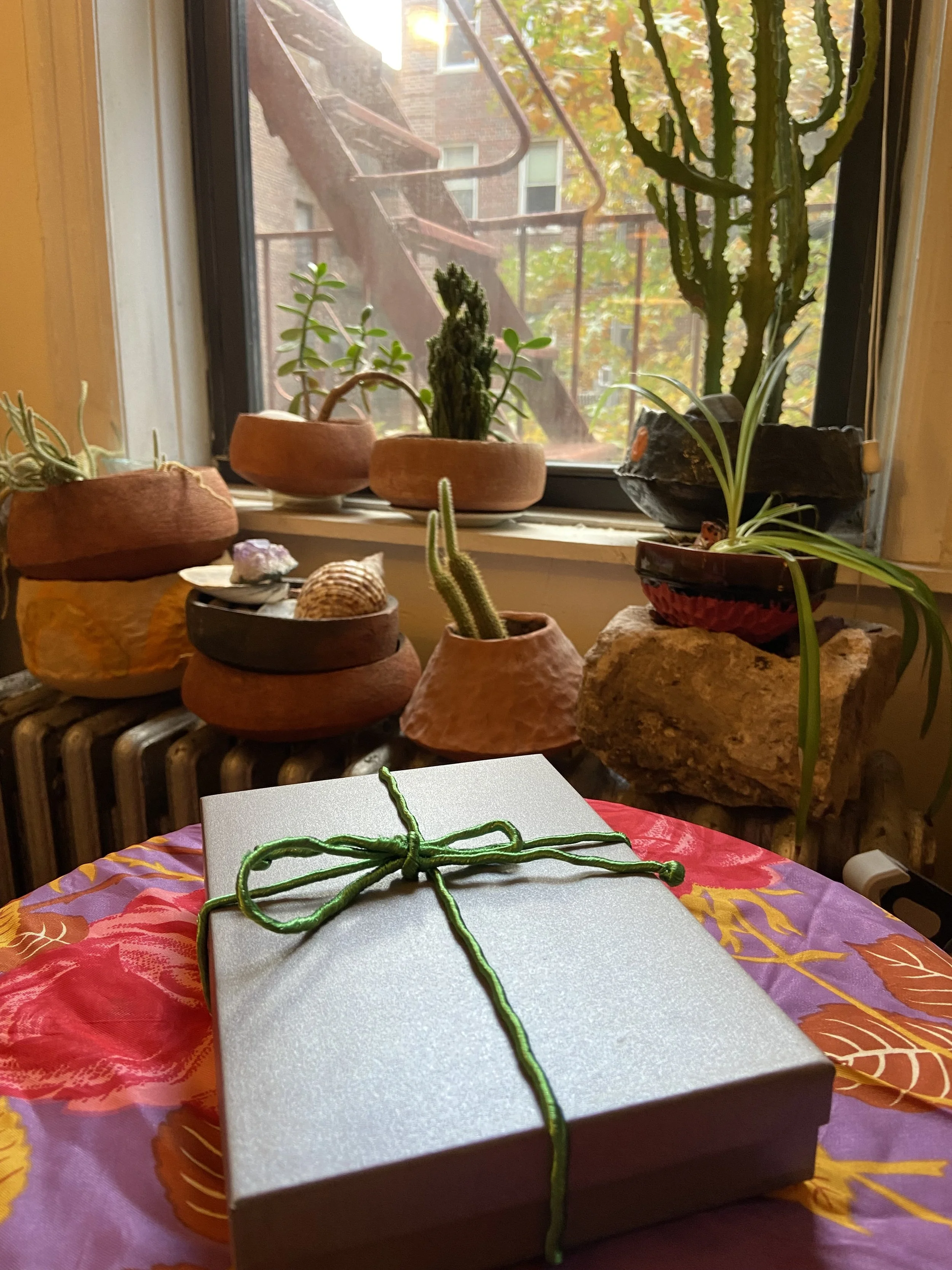 2025-11-13 14.21.23.jpg