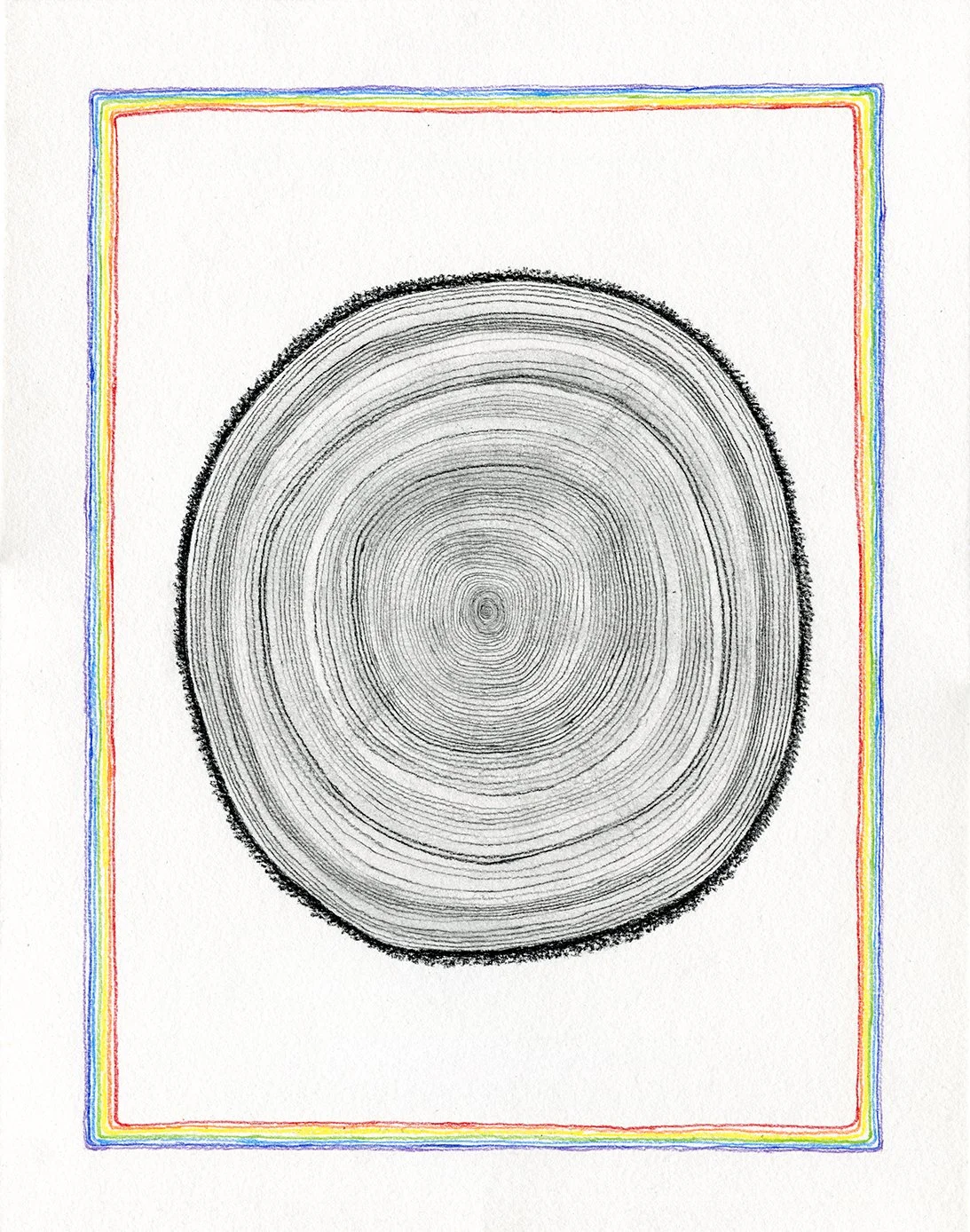Tree_Rings_6_web.jpg
