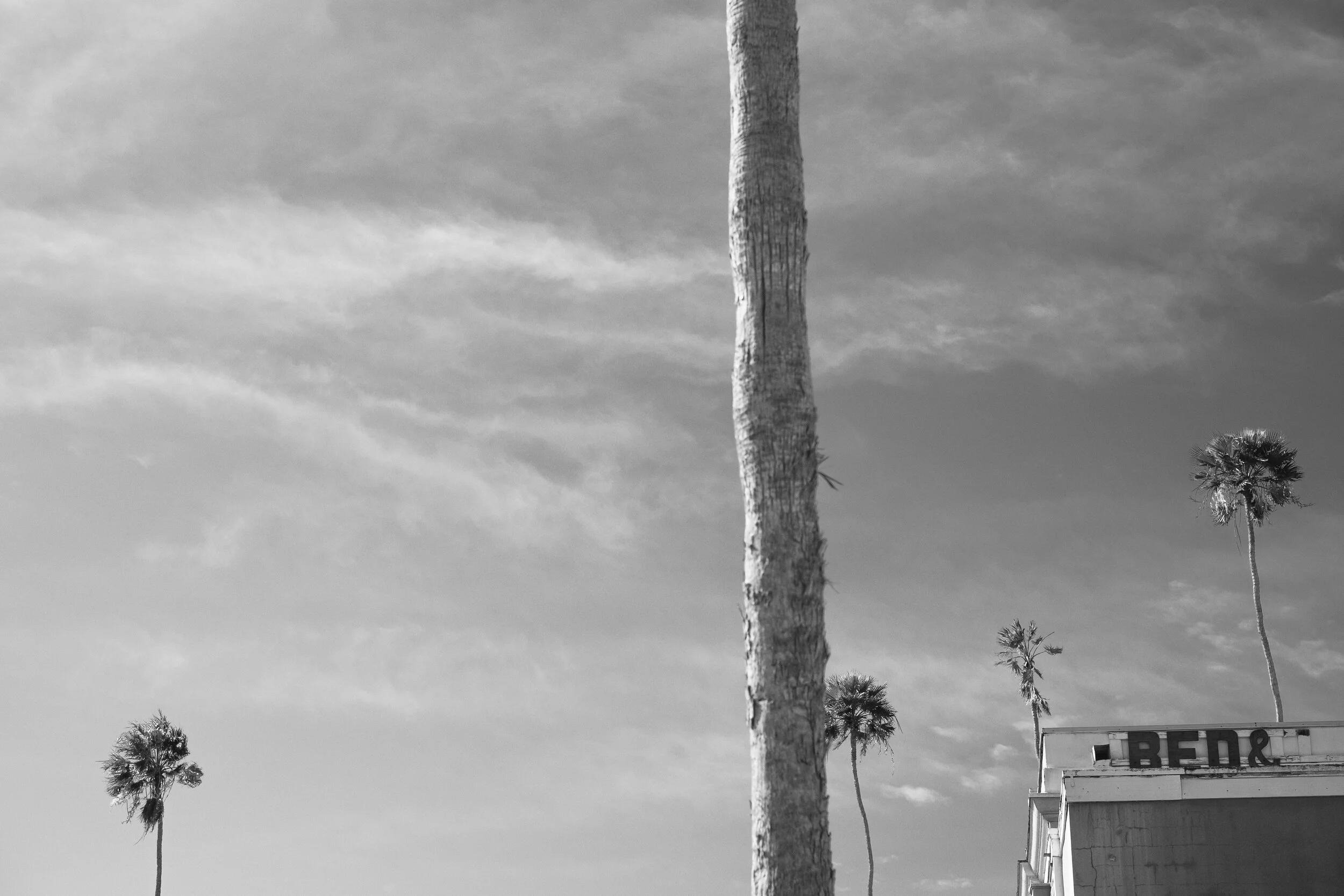DSCF7928.jpg