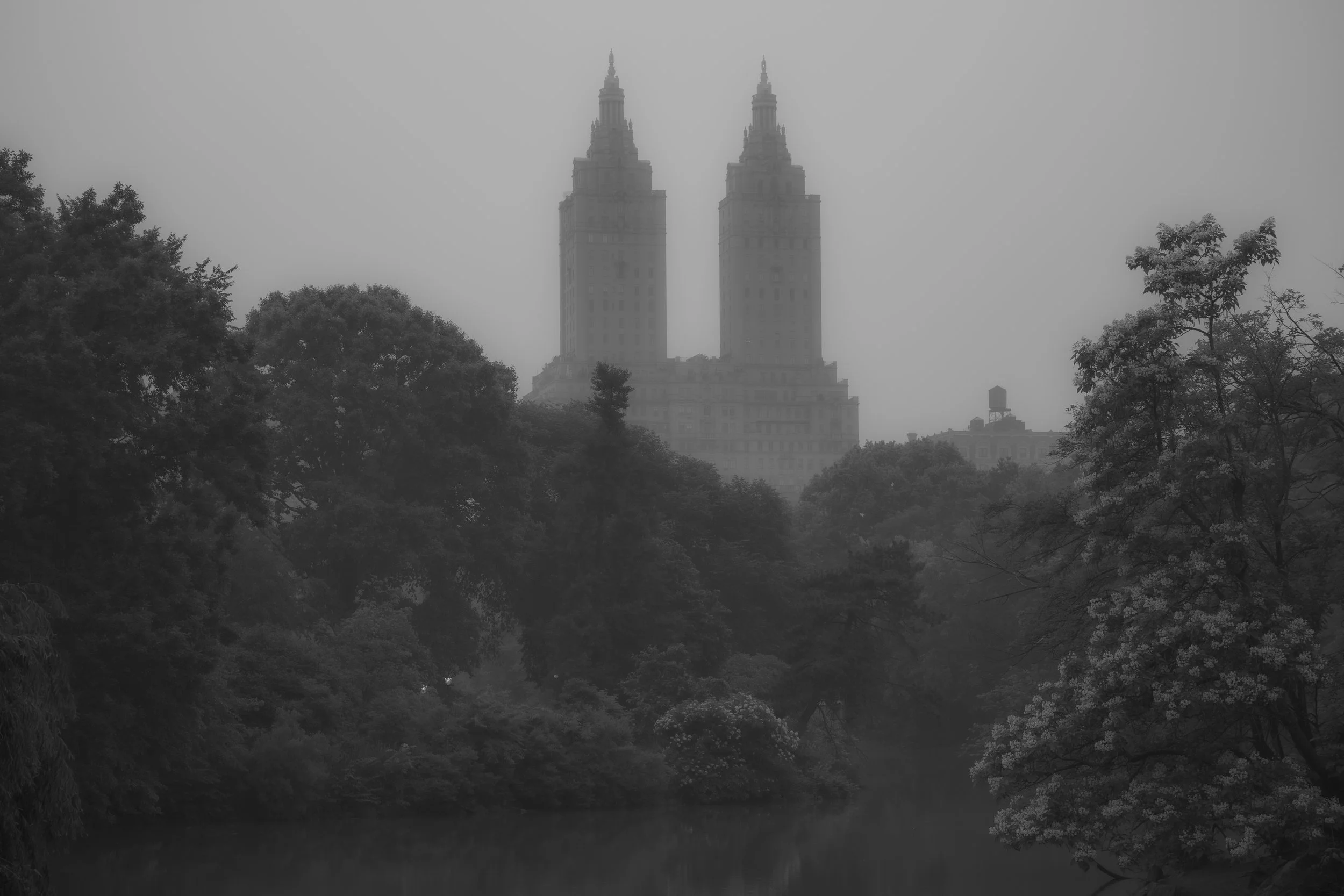 NYC Smoke Day 5 Star-20.jpg