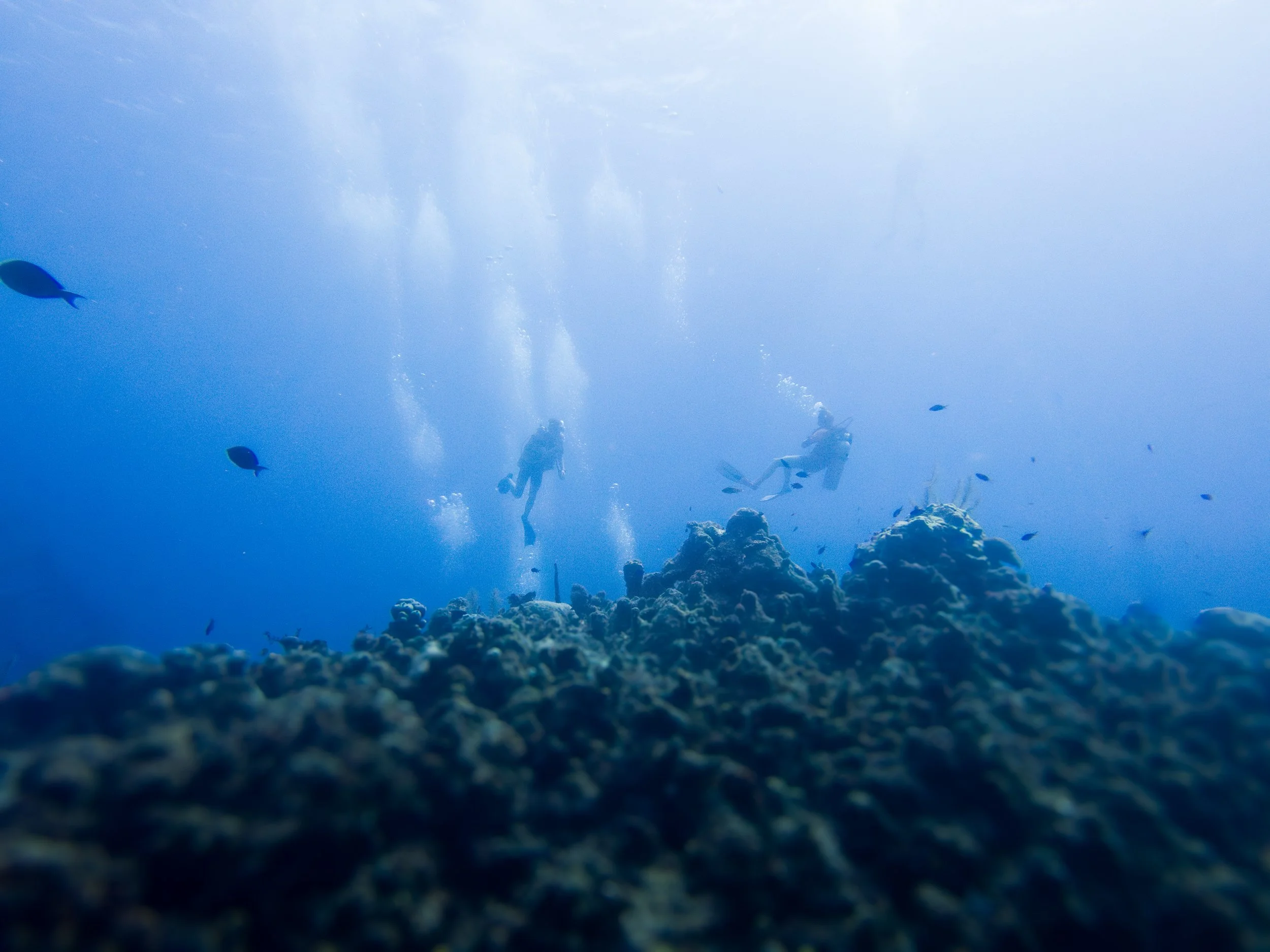Cayman Islands 5 Star-6.jpg