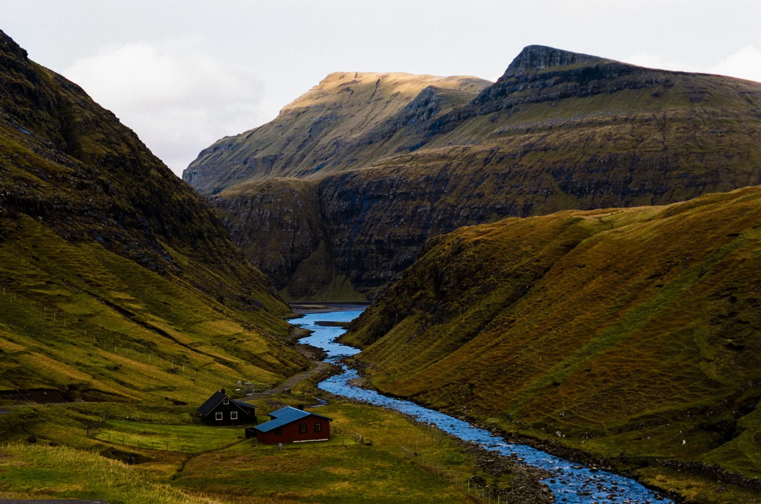 Adler - Faroe Islands-12.jpg
