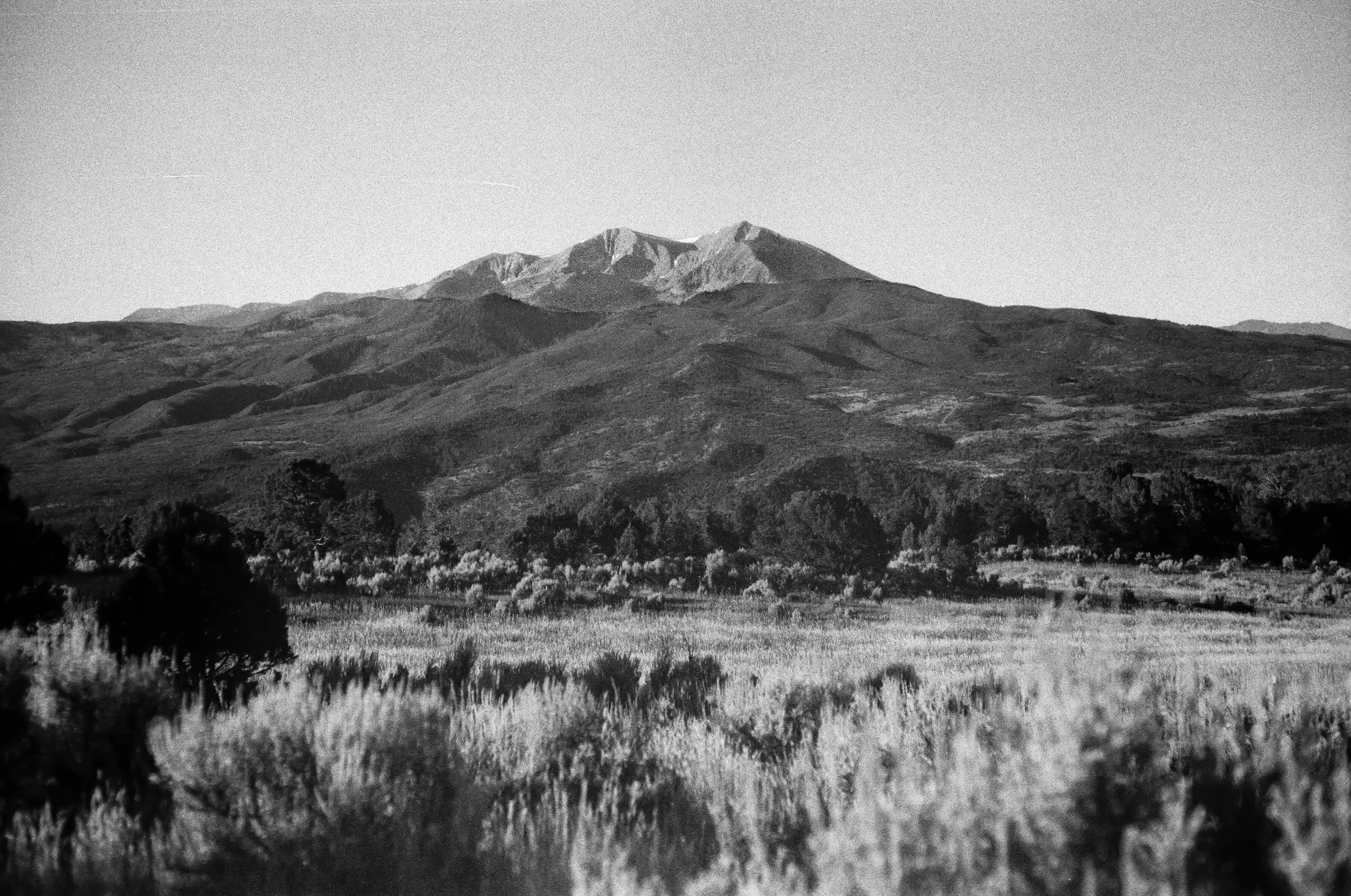 Zealand RTS-20.jpg