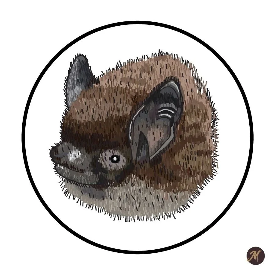 Day 15: Jim the Bat

#inktober #art #drawing #drawings #illustration #tattooart #artistsoninstagram #illustrator #digitalink  #inktober2022 #bat