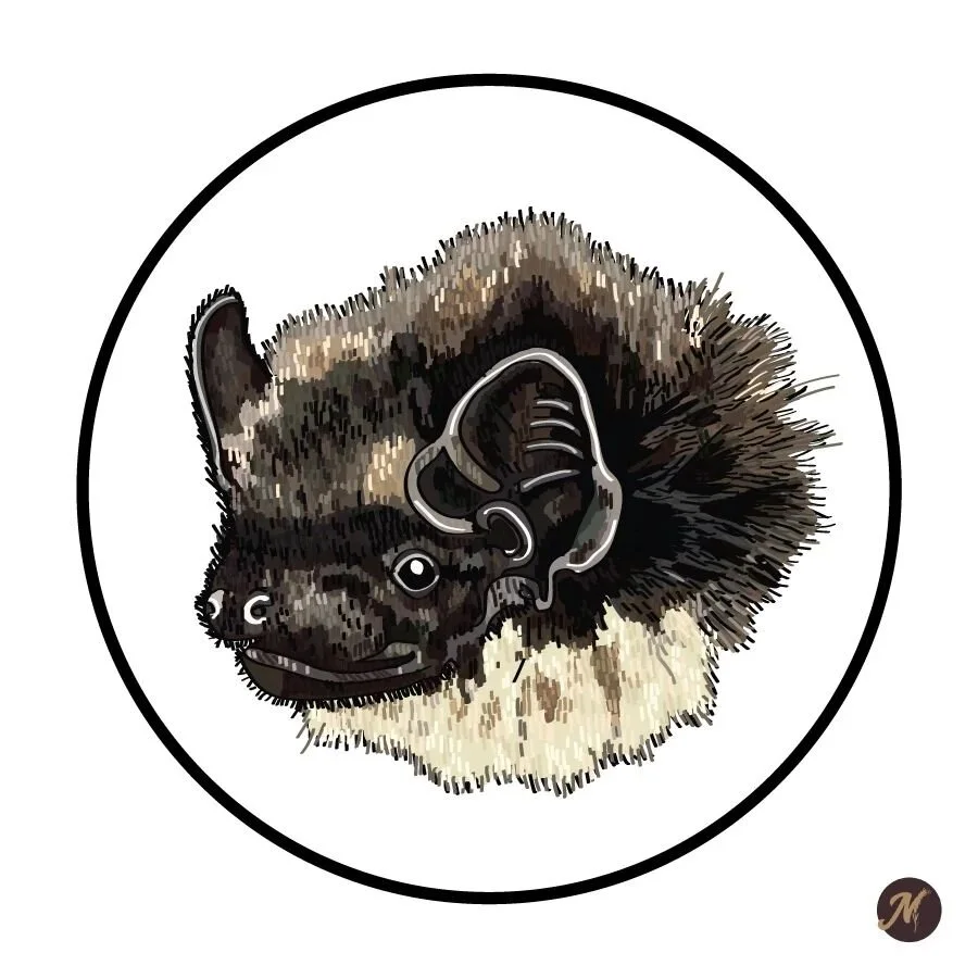 Day 12: Gwendoline the Bat

Behind by one day but will catch up. 

#inktober #art #drawing #drawings #illustration #tattooart #artistsoninstagram #illustrator #digitalink  #inktober2022 #bat