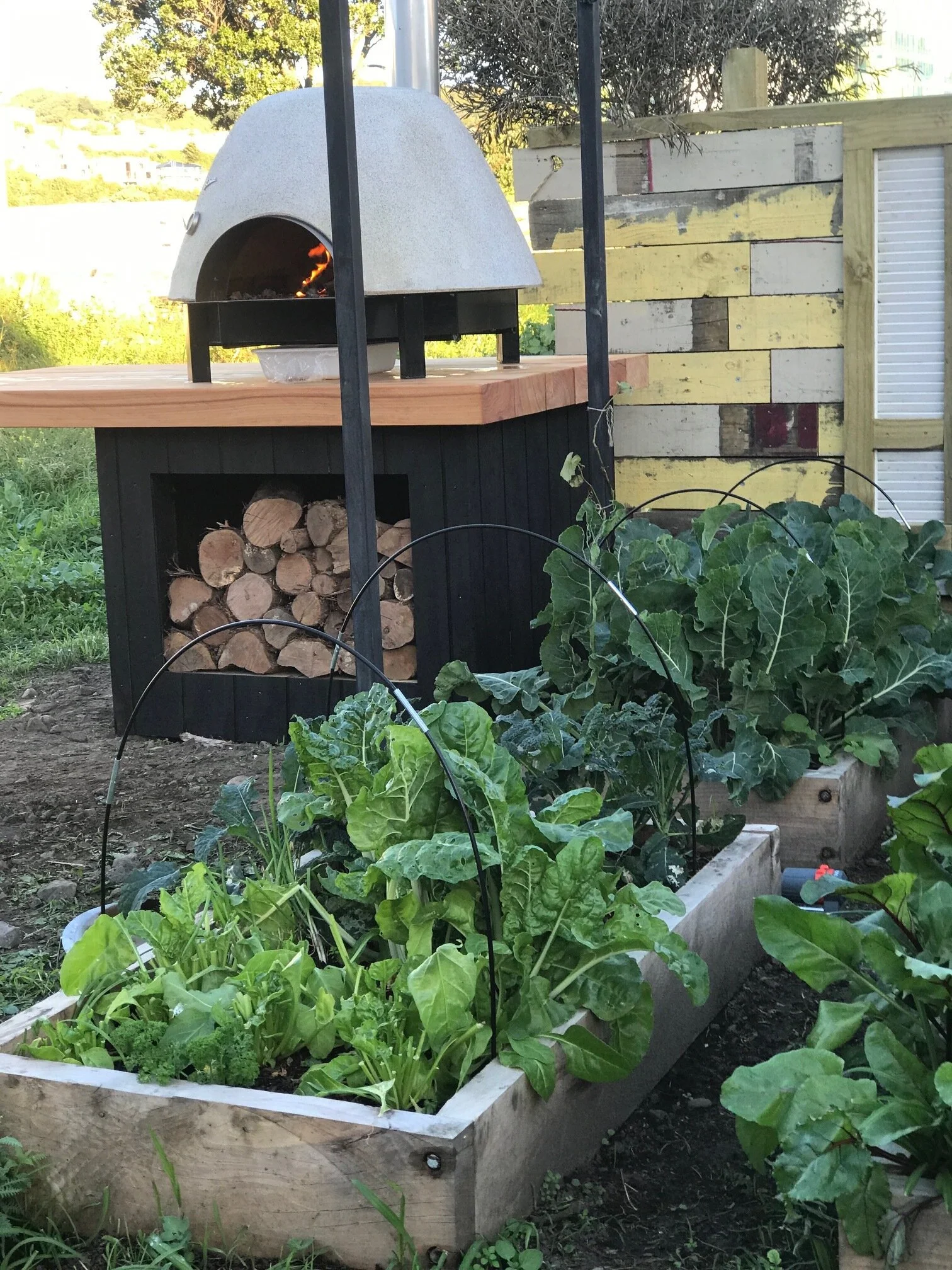 Oikos Pizza Oven