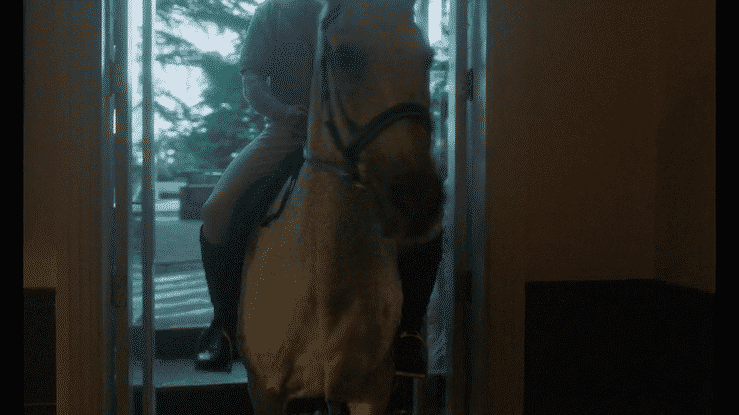 MIDDLE KIDS 'Questions'-high.gif