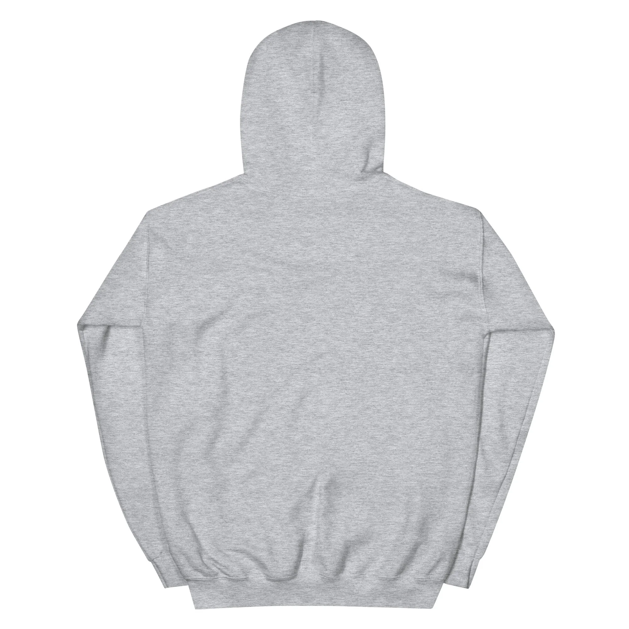 unisex-heavy-blend-hoodie-sport-grey-back-688991fe7b427.jpg