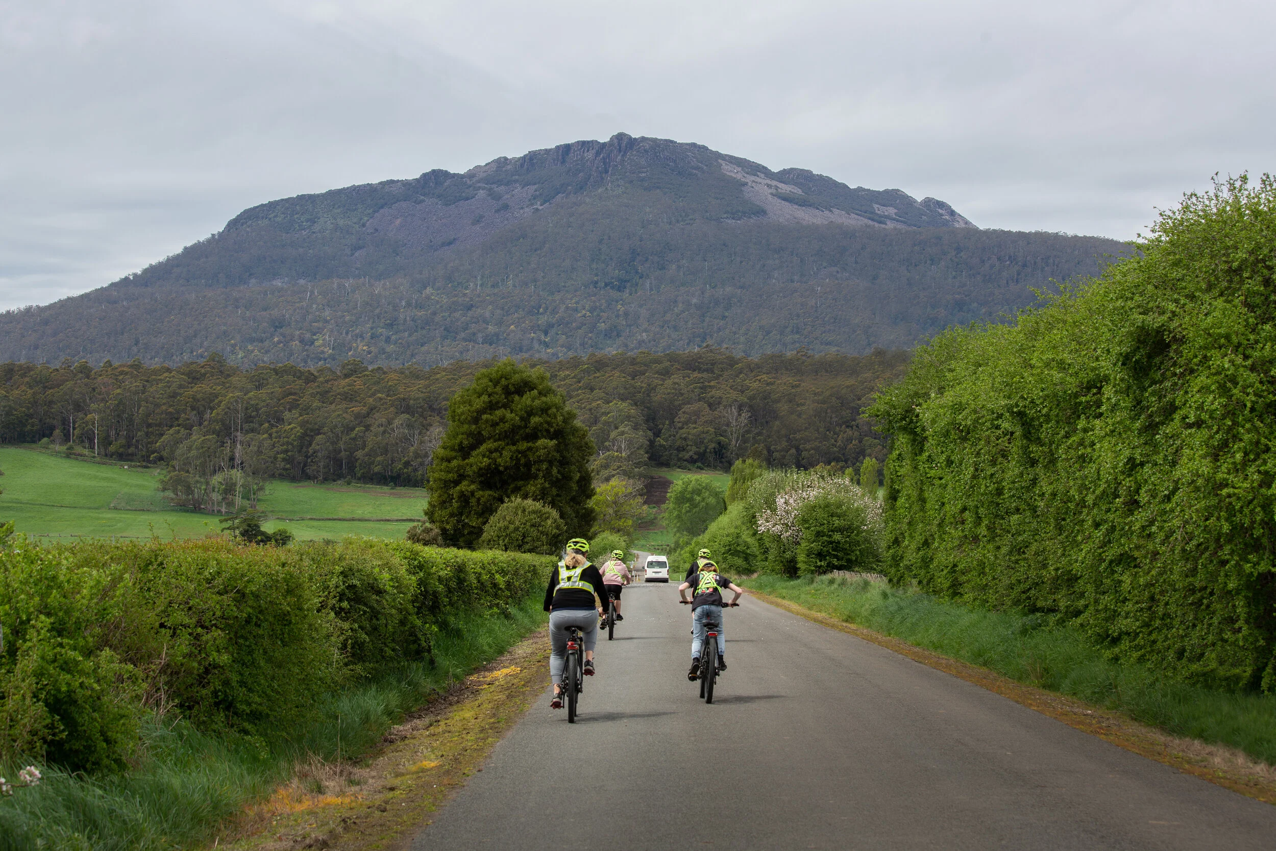 Things to do in the Meander Valley — Meander Wilderness Experiences