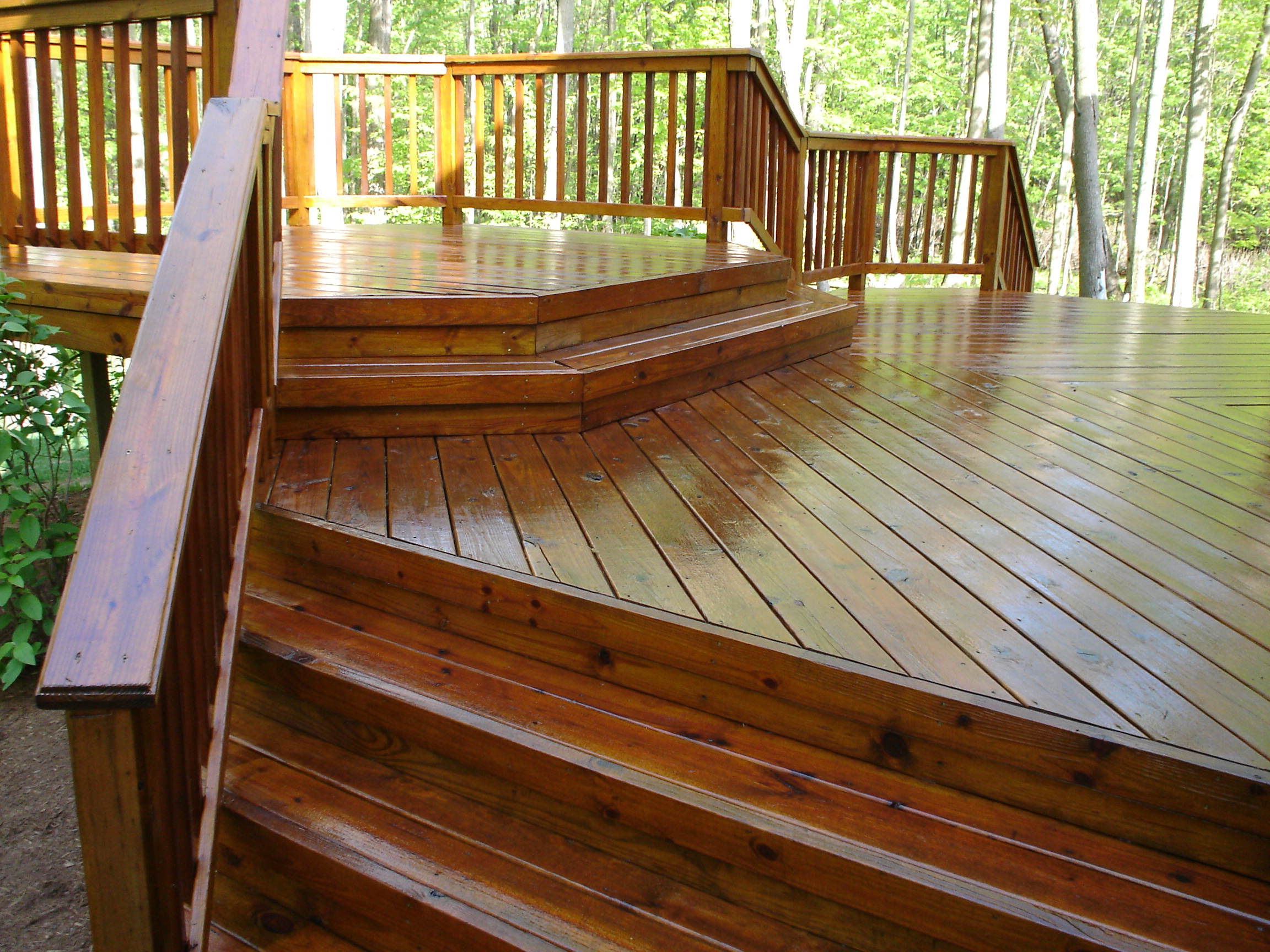 deck 1.jpg