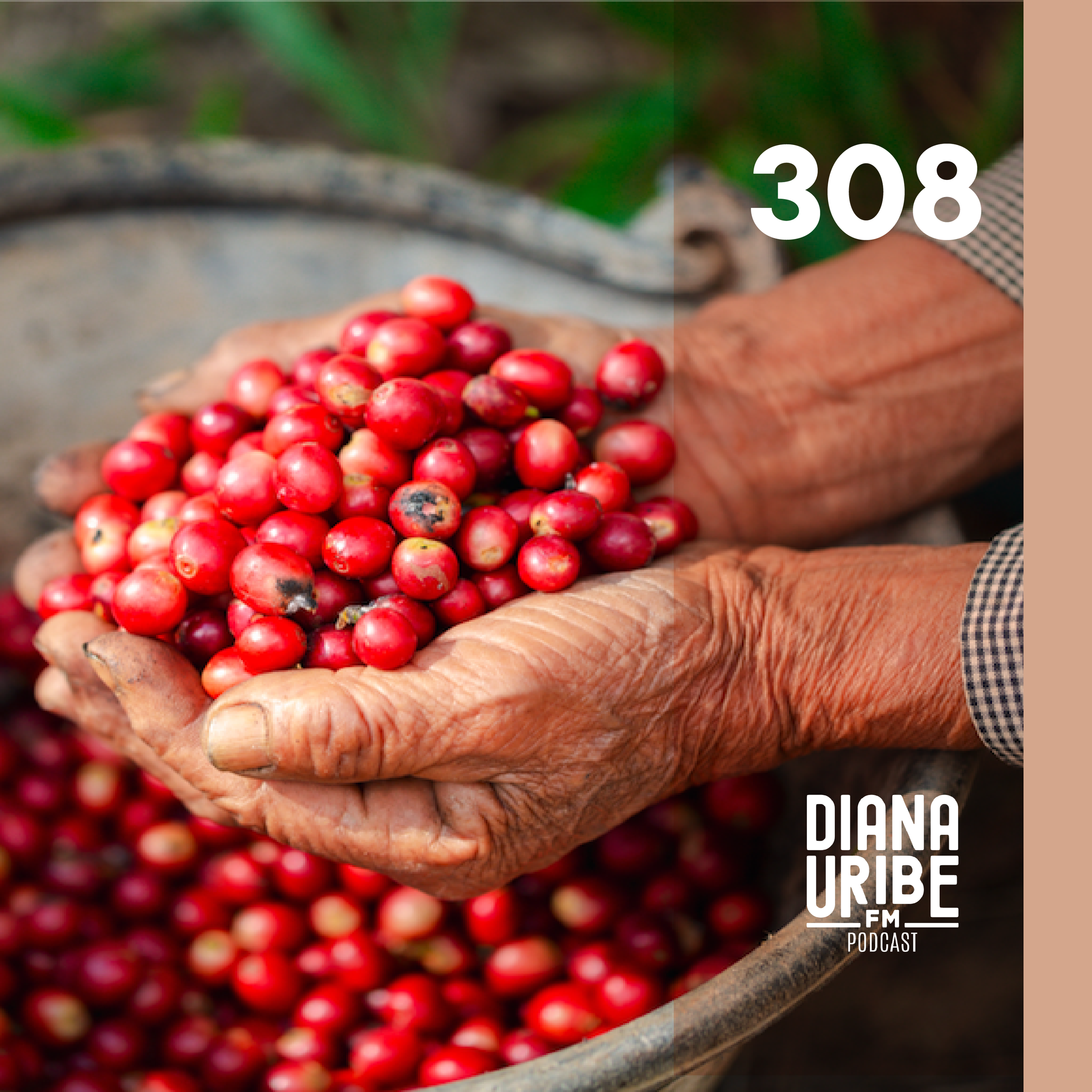 Historia del Café I: El origen de una bebida universal