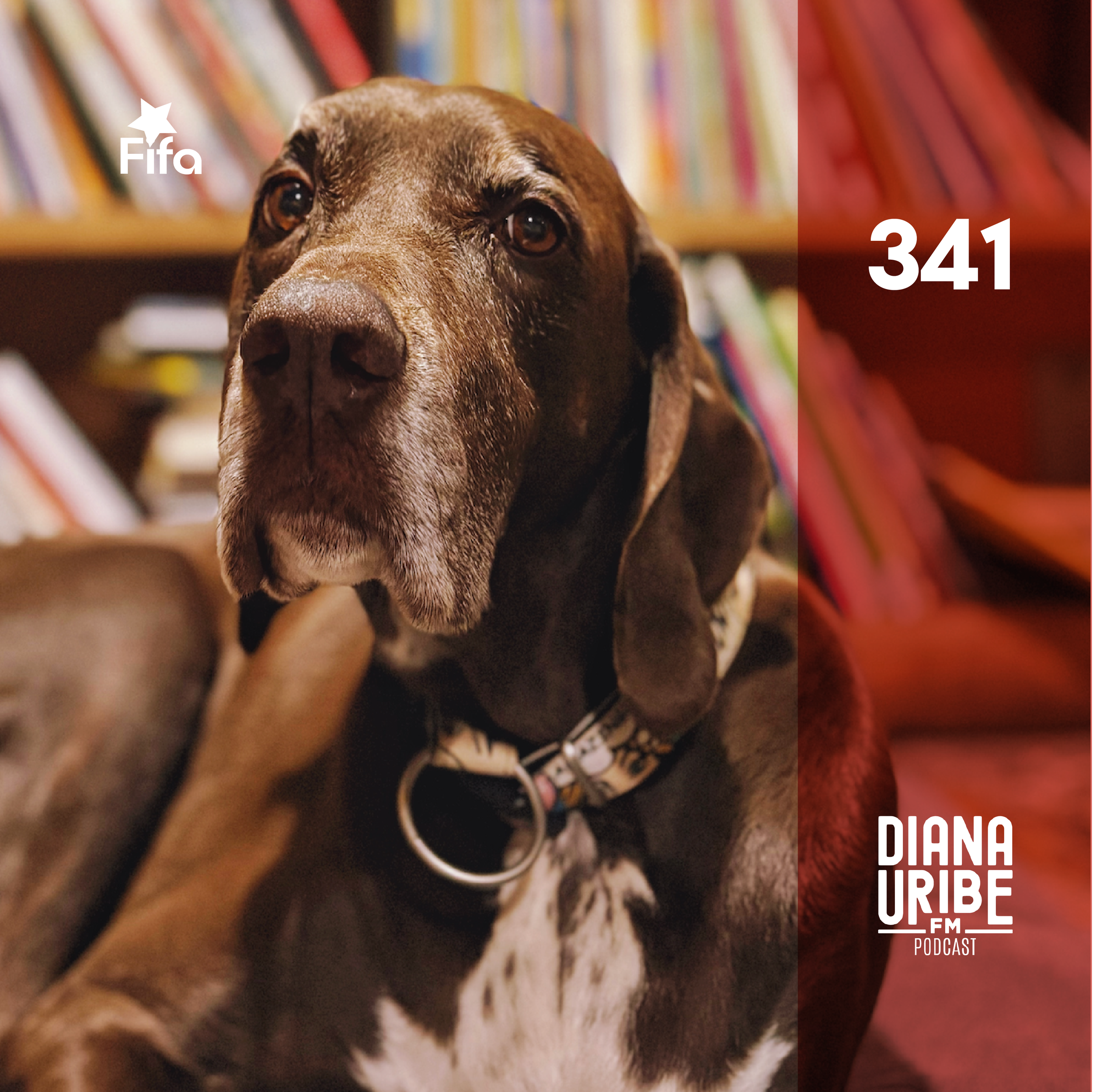 Historia de los Perros I: Cuando Nos Escogimos Mutuamente