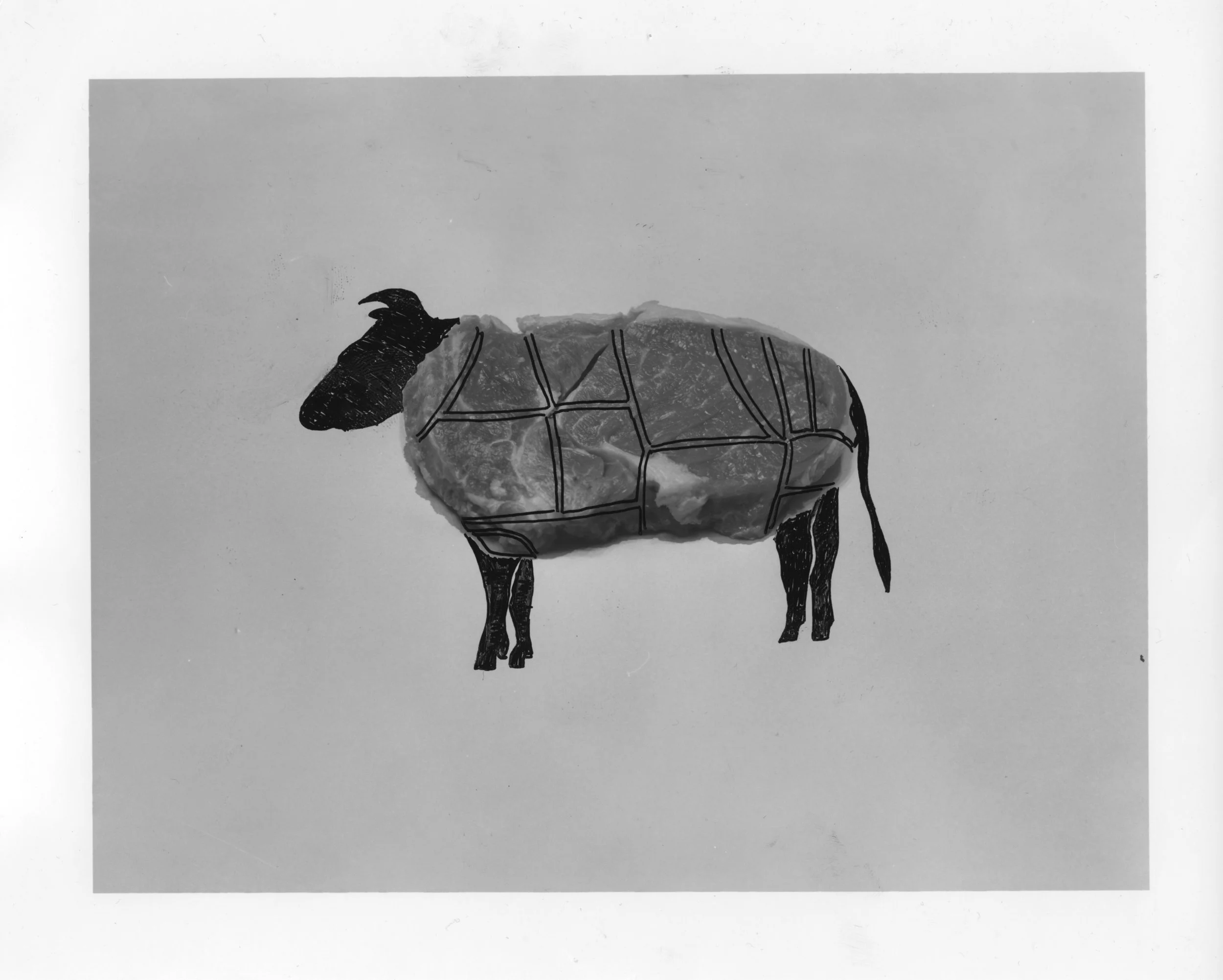 ECWalpole Lighthouses 35089 copy.jpg