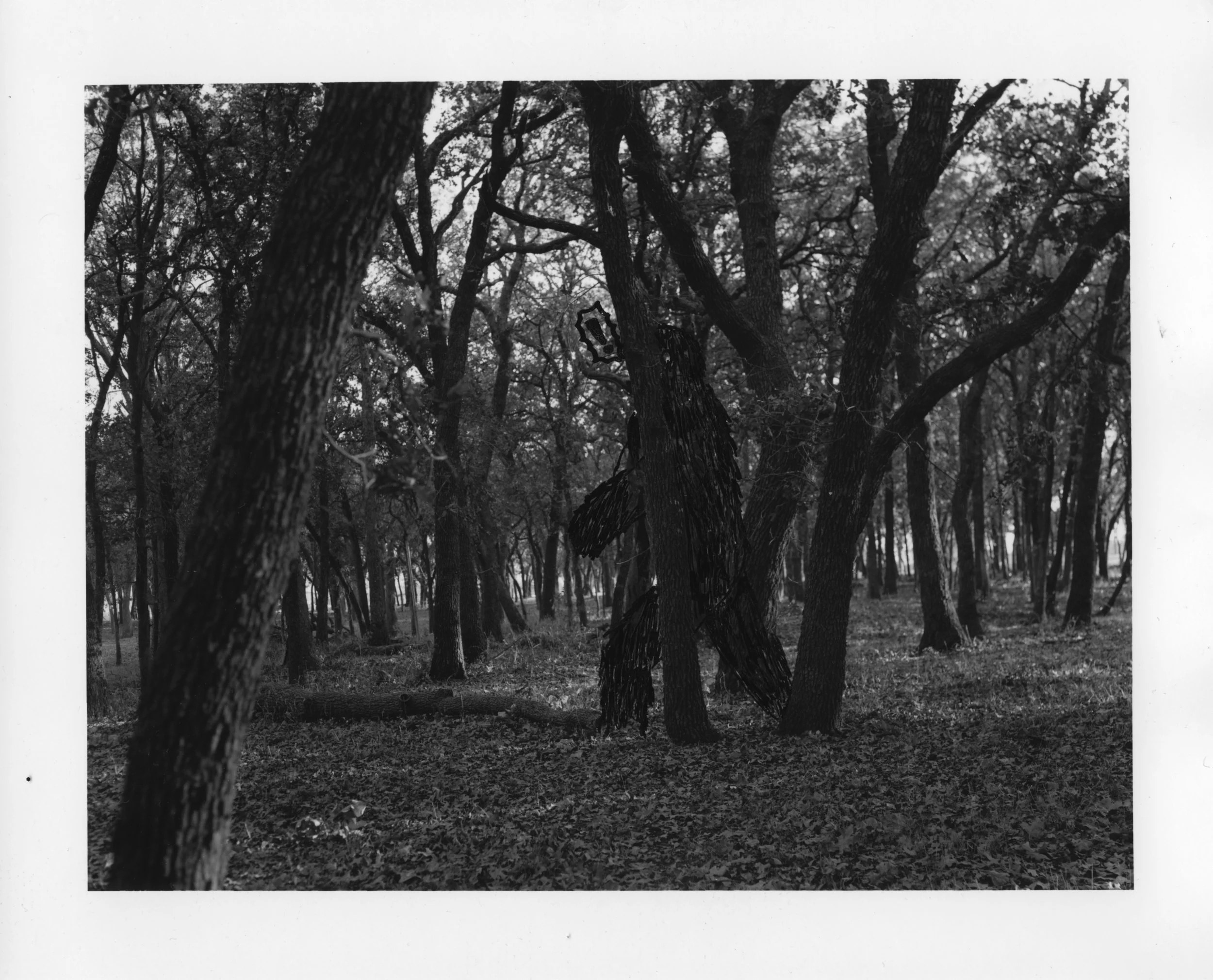 ECWalpole Lighthouses 35085 copy.jpg