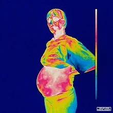 220px-Brockhampton_Iridescence.jpg