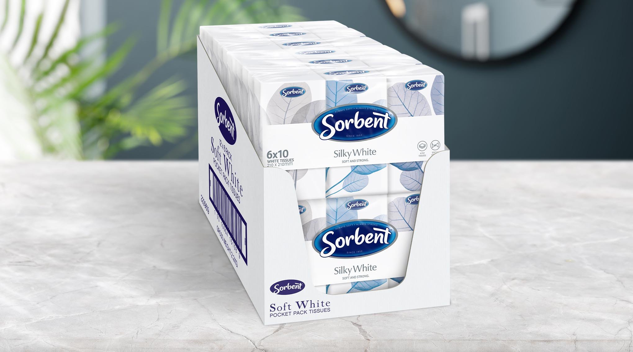 Sorbent