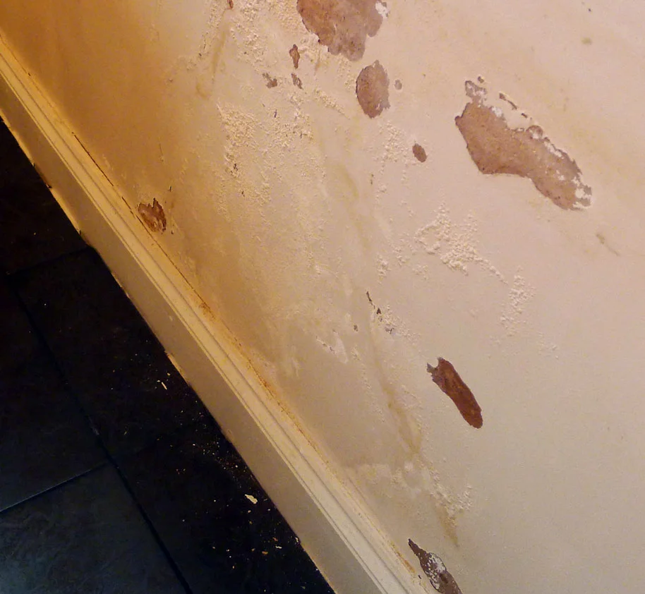 Rising-damp-wall.jpg