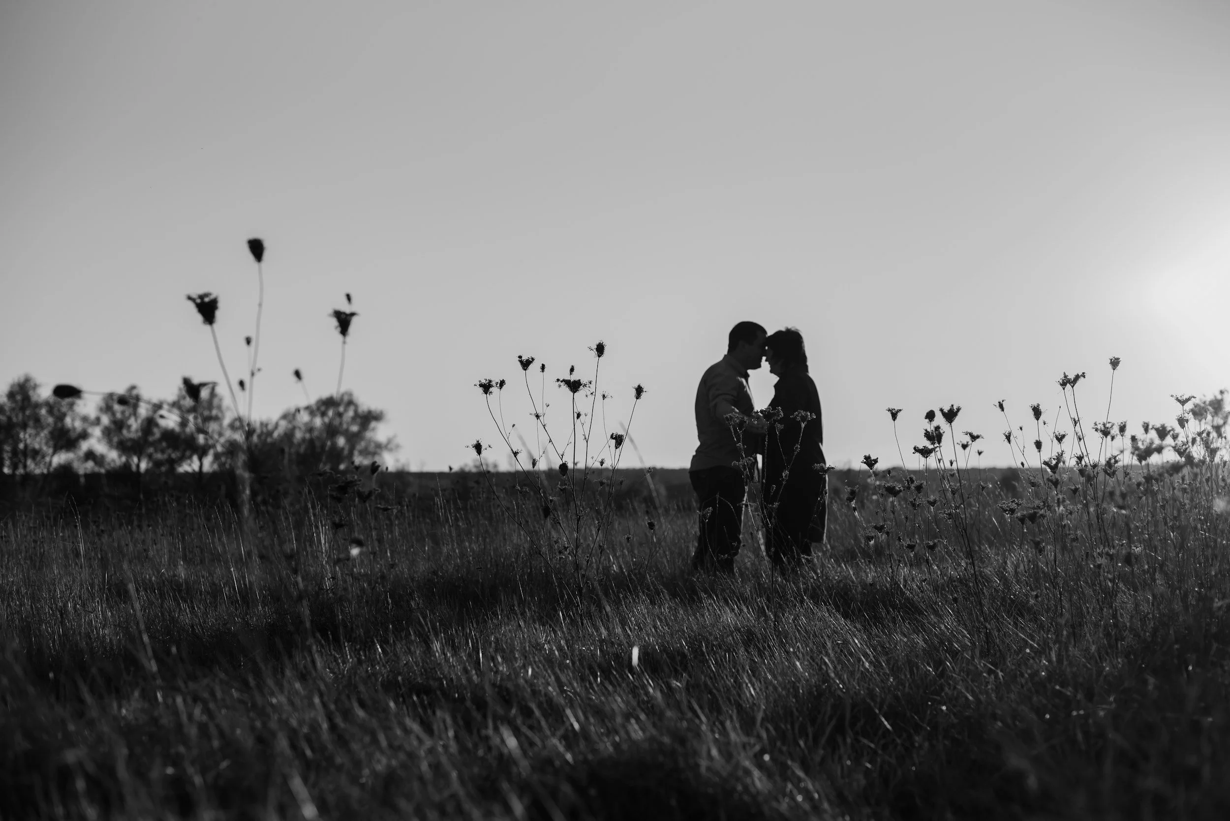 Understanding Schedule 3 Waivers: How Judicial Errors Can Salvage a Partner Visa Application