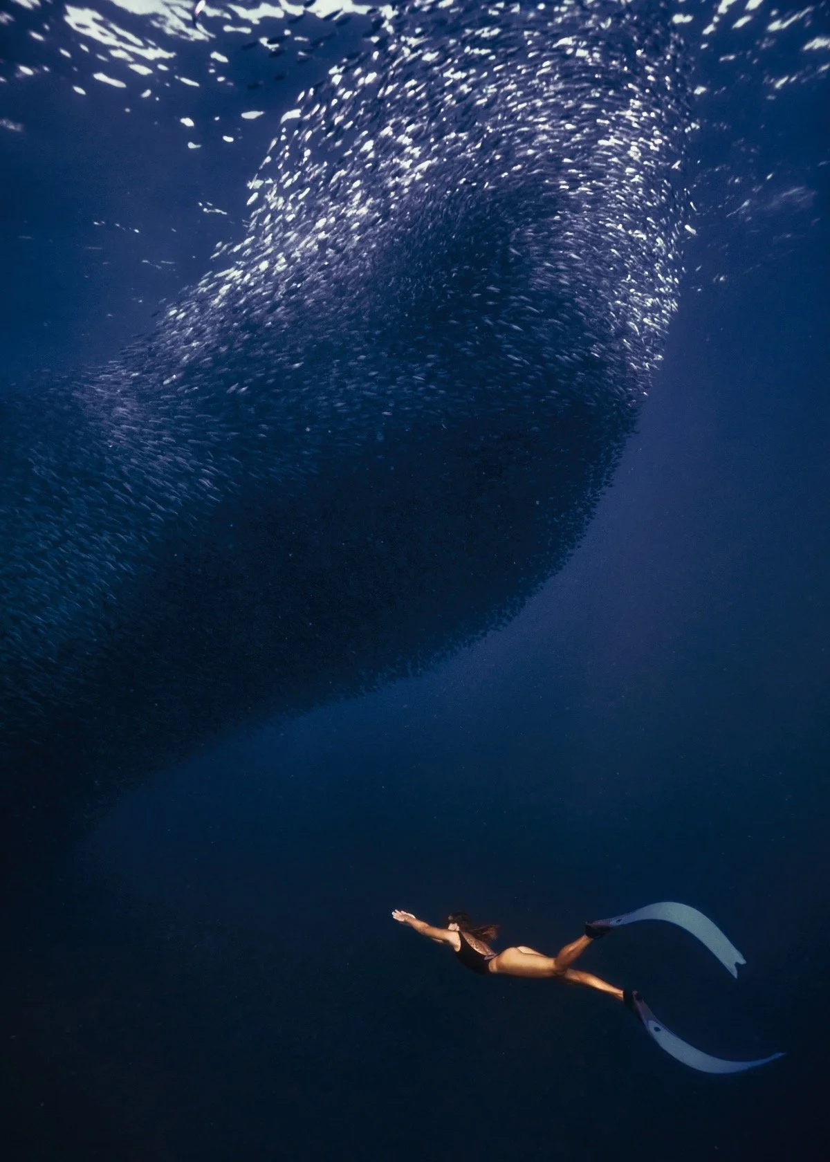 06_INTO_THE_BLUE.jpg