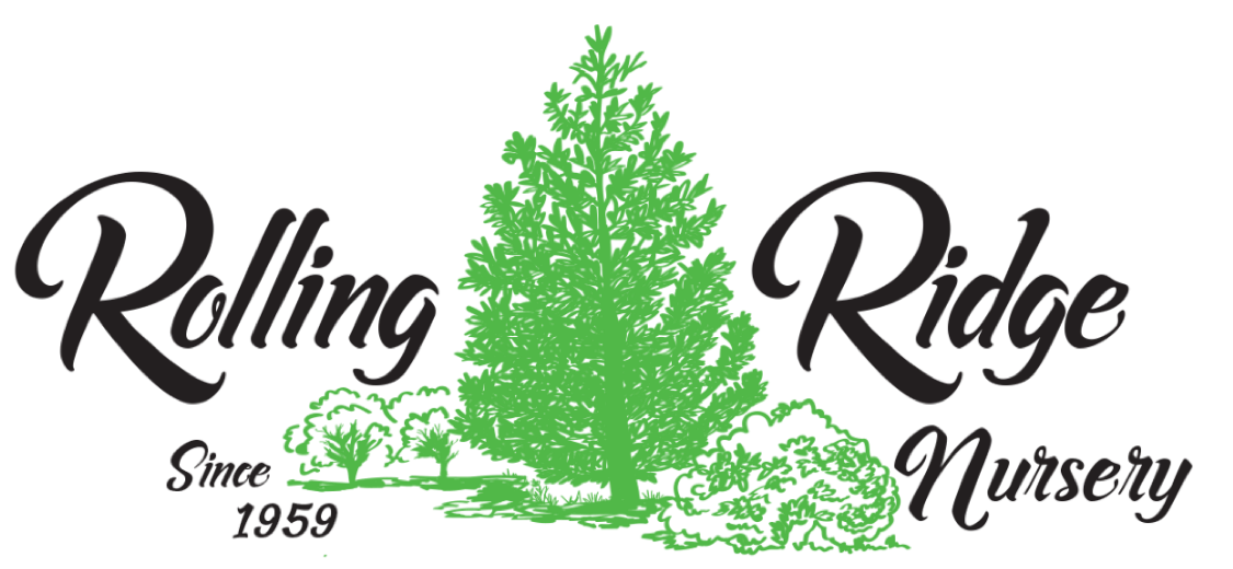 Community Garden — Empowered Spaces