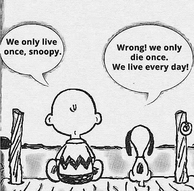 We have the luxury of starting fresh, every day! Don&rsquo;t take this for granted. Each day is a new day, a blessed day, and a hopeful day. Happy Friday, y&rsquo;all!
.
.
.
#mentalhealthawareness #youonlydieonce #themindfulstudio #keeponkeepingon #h
