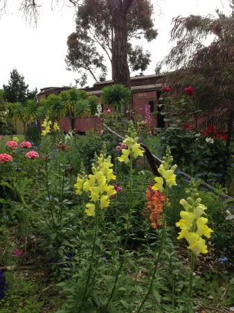 Blessing Of The Day To Us All