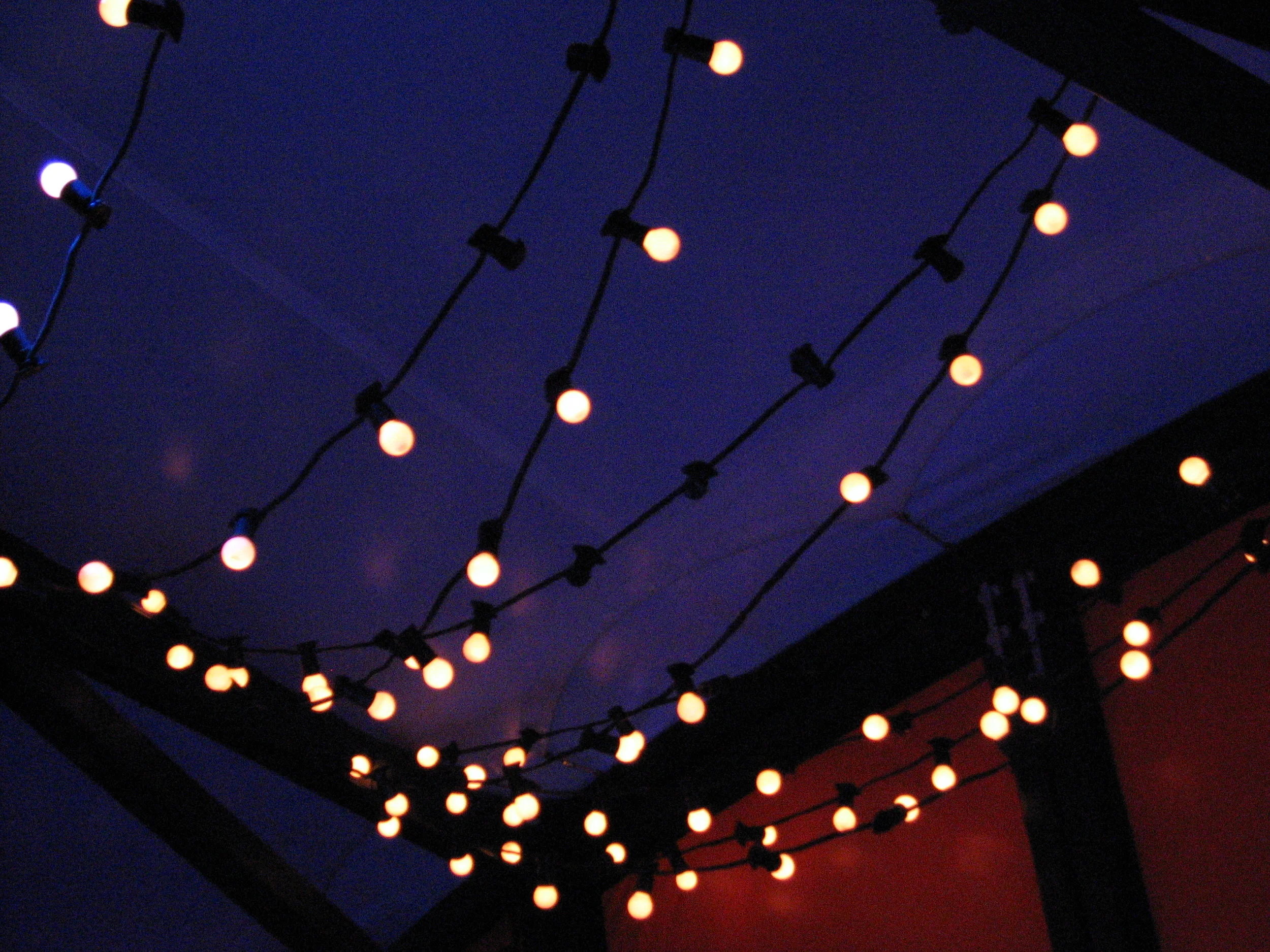 festoon-lighting.jpg