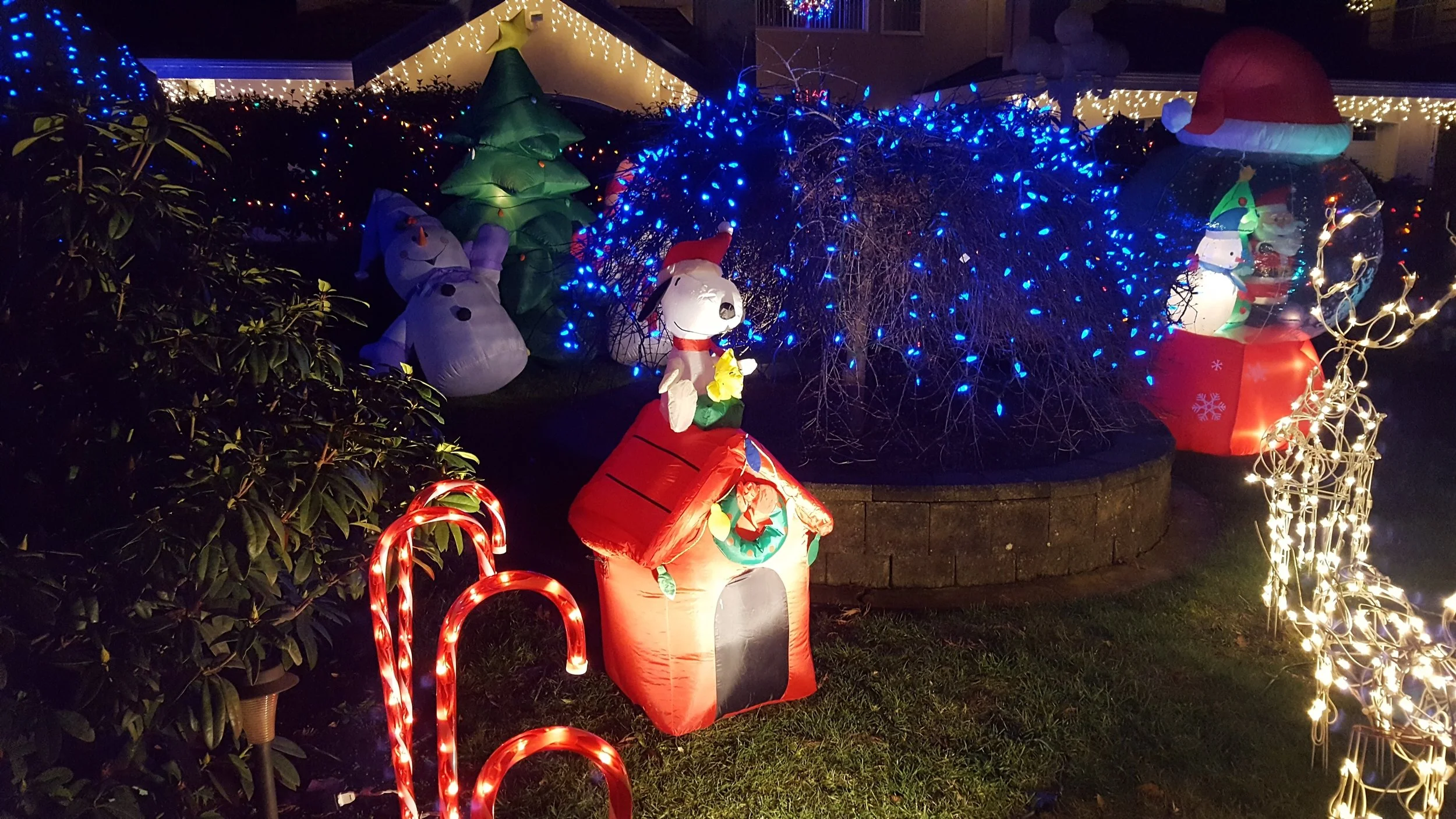 Driving around the neighbourhood looking at Christmas illuminations.