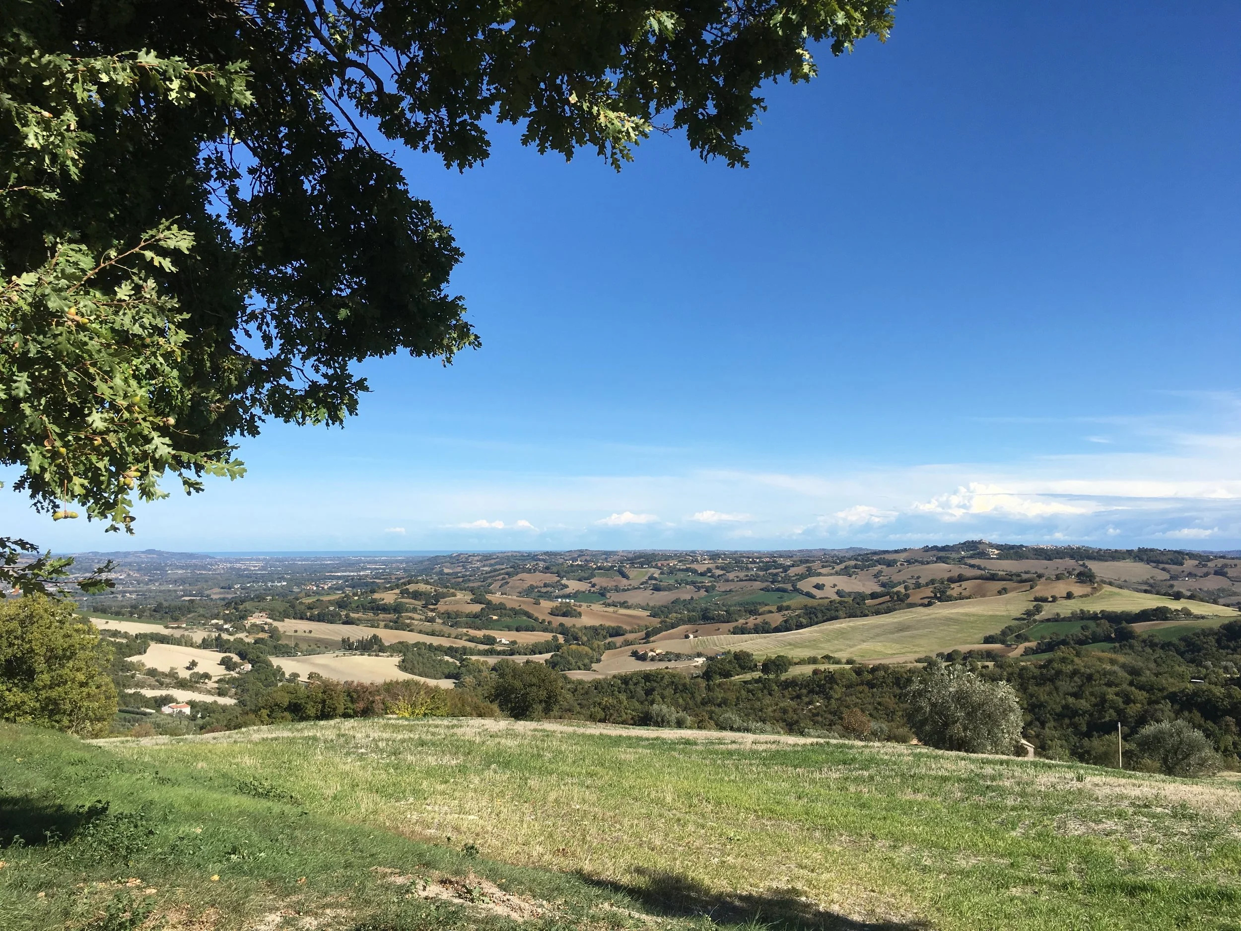 IMG_9732.jpg