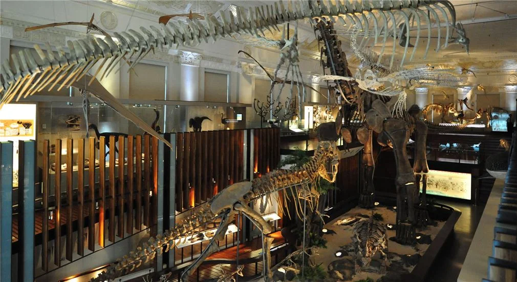 國立臺灣博物館-土銀展示館 臺北市中正區襄陽路25號