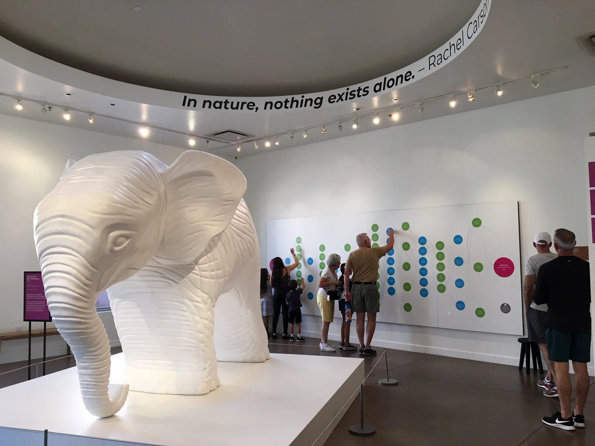  Desert Botanical Garden, Phoenix, AZ / Fall 2019 