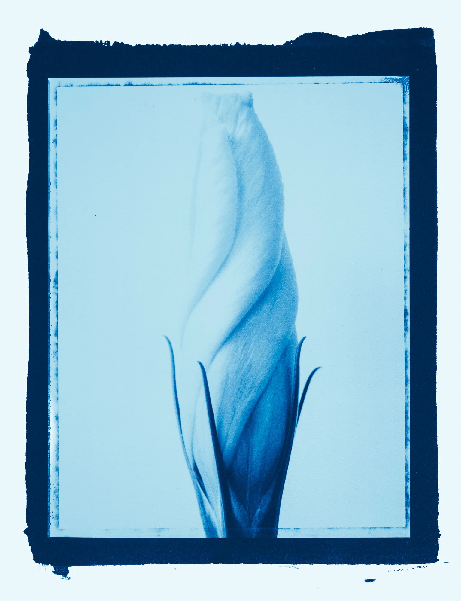 Seamus A Ryan - Photography — Introduction to Alternative Printing ...
