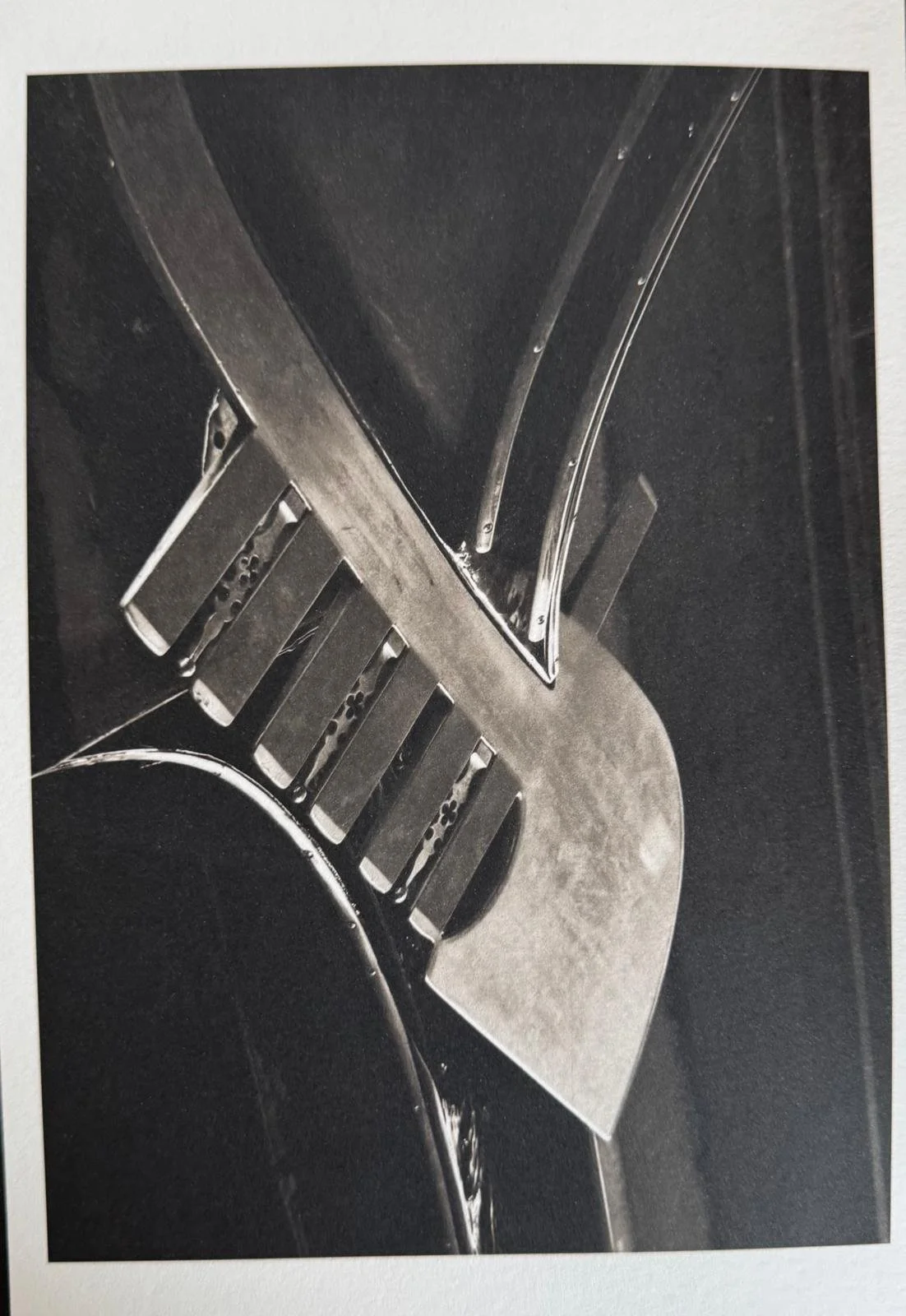 WhatsApp Image 2025-10-25 at 12.47.48.jpeg