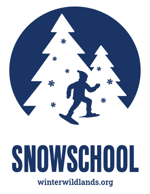 Copy+of+SS+New+Logo_2020.webp