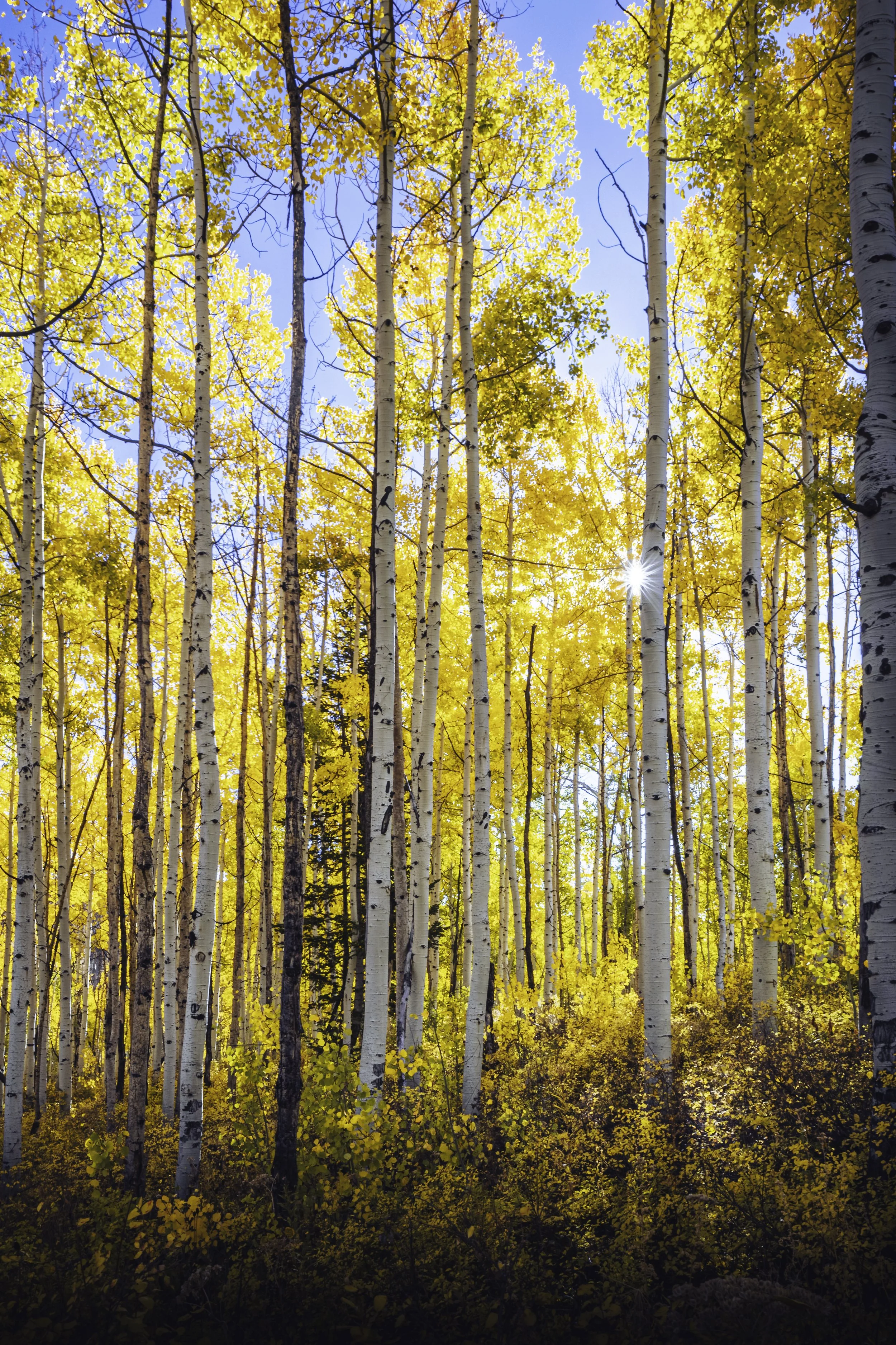 Nature Walk &amp; Landscape Photography Workshop