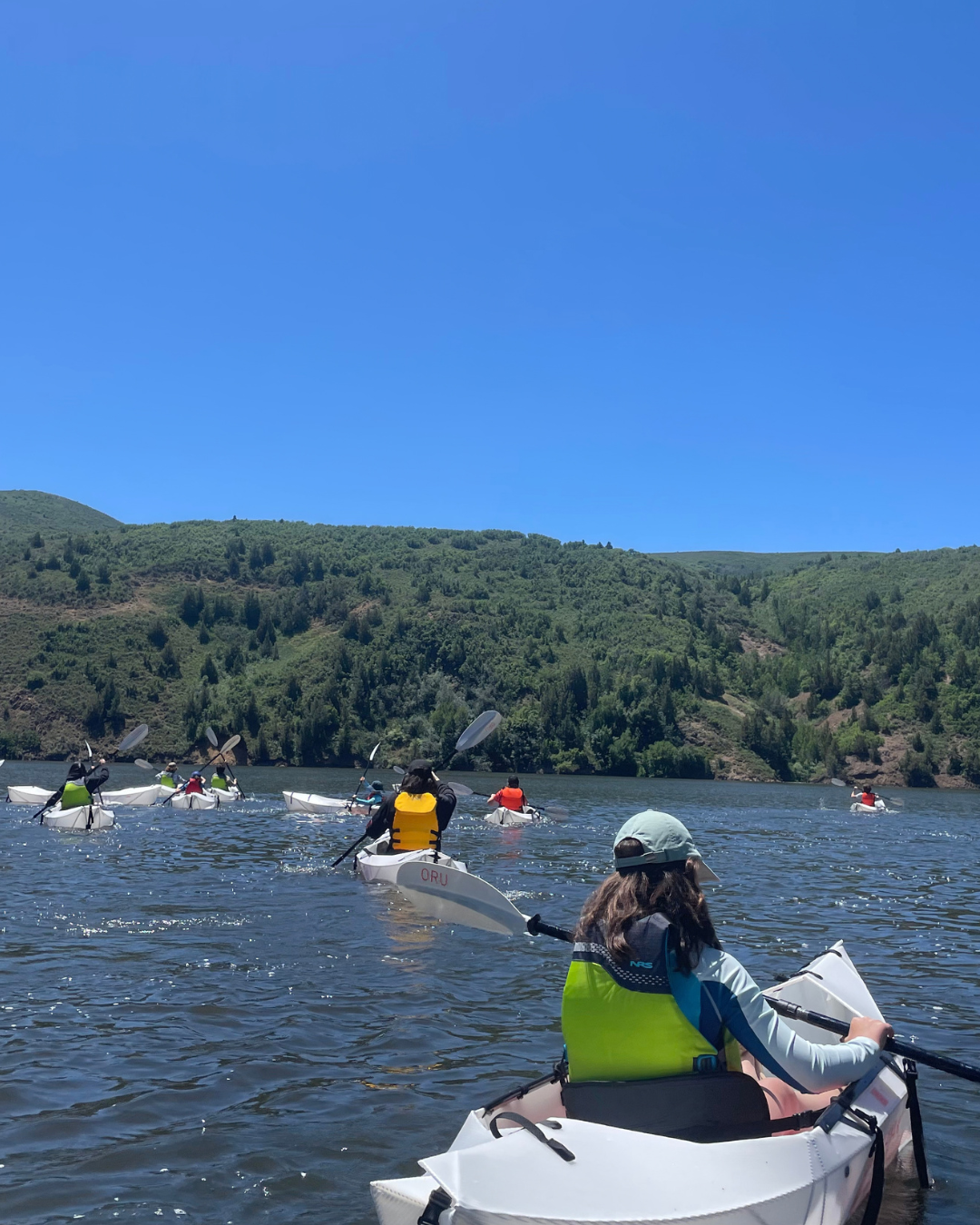 Guided Birding Paddle at Jordanelle