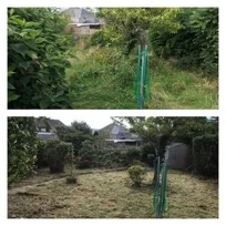 Garden eg.jpg