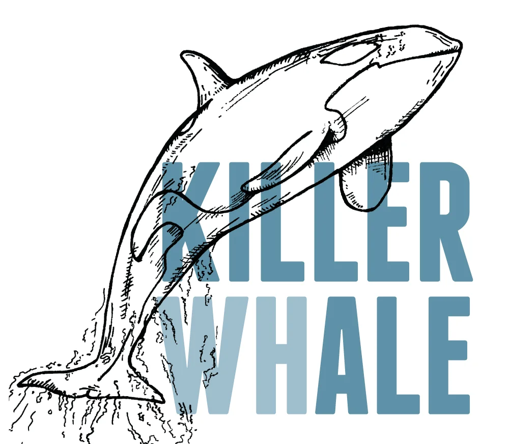 2018_05_28_MIMMP_KillerWhale.jpg