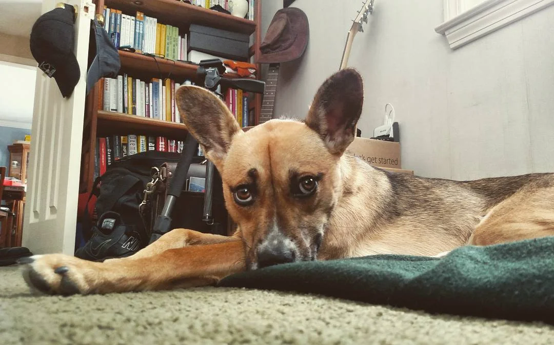 Our First Year With Nadia