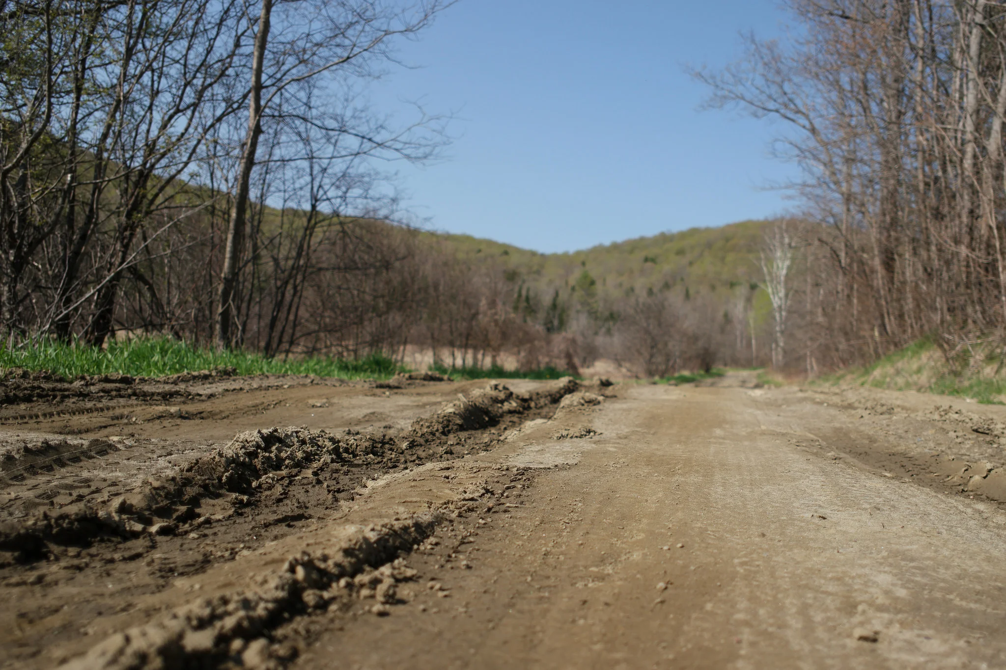 The Long and Short Walk of Life